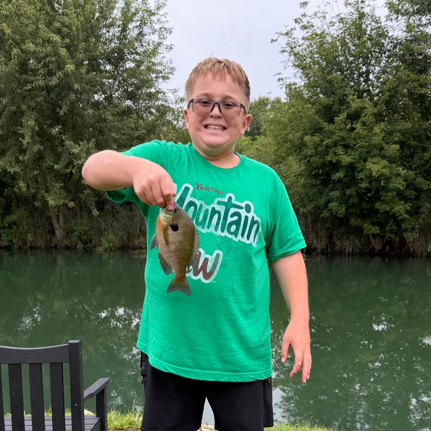 Bluegill caught on Fishbrain
