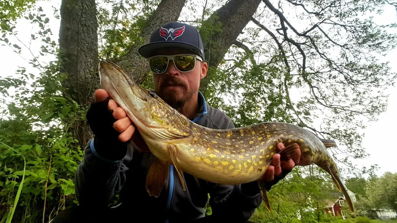 Post image from JPsson