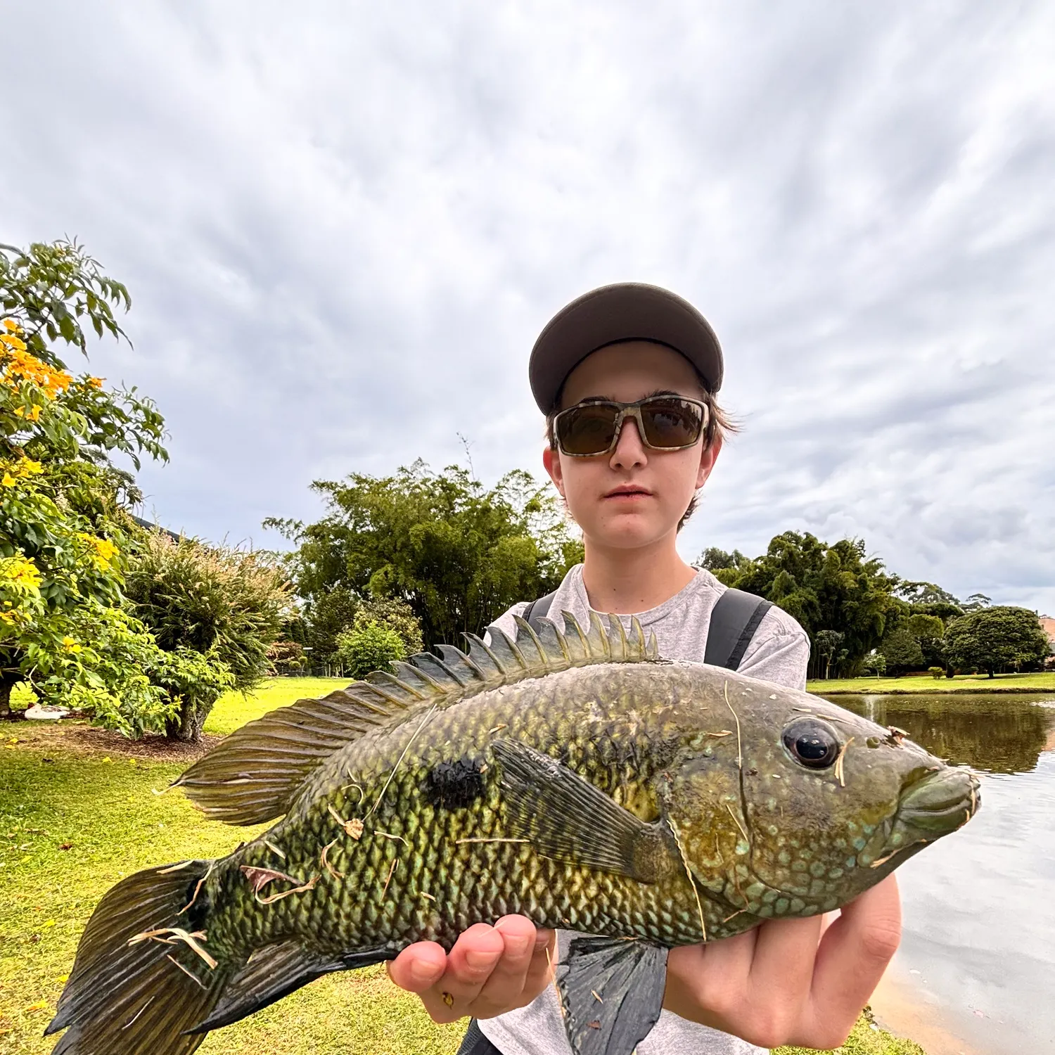 The most recent Three spotted tilapia catches on Fishbrain