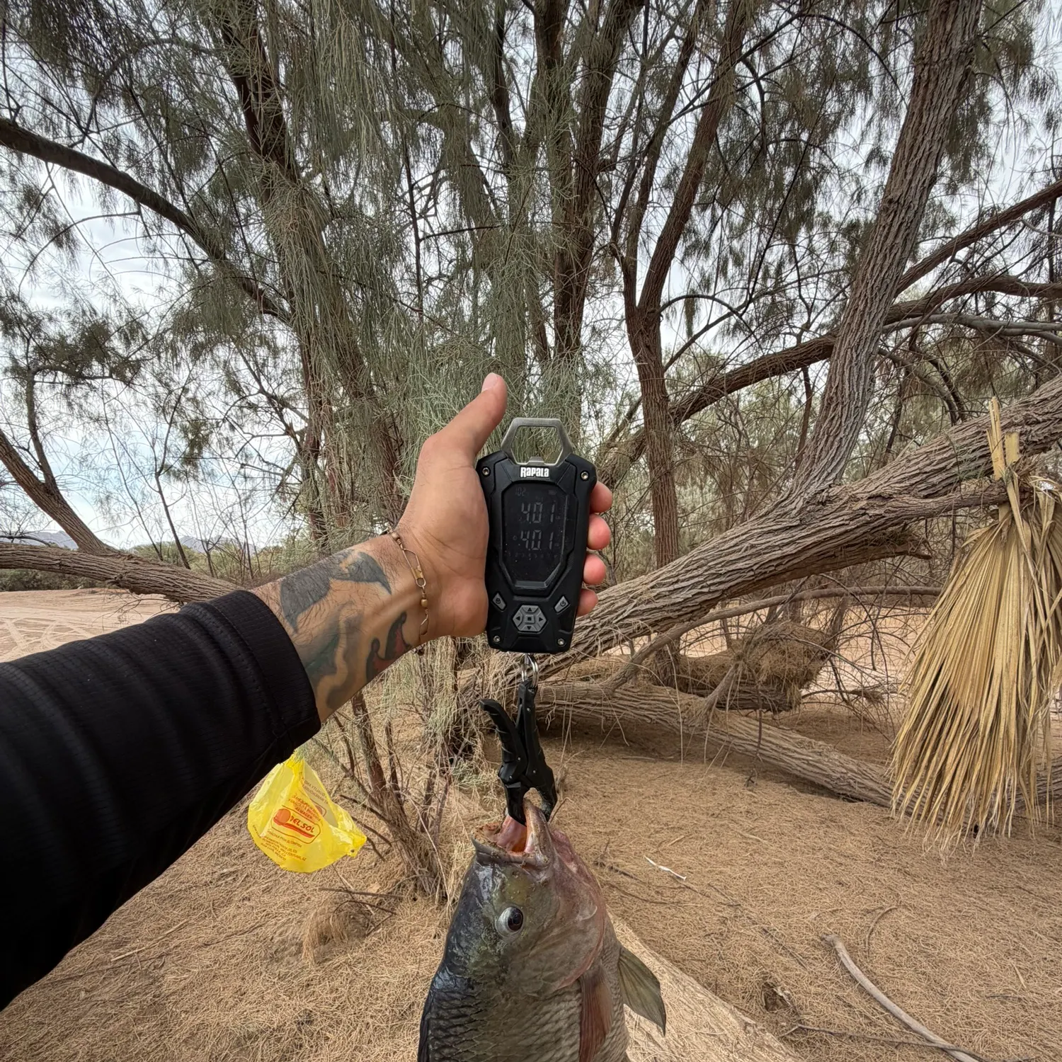 catch