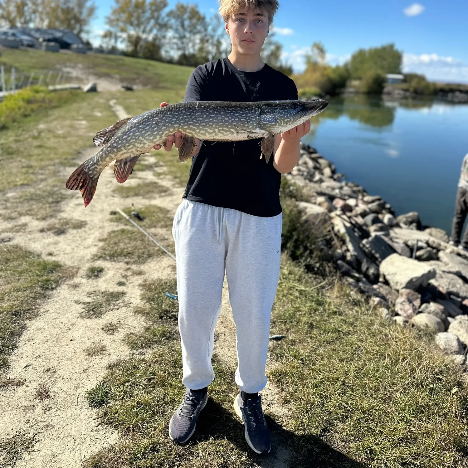 Northern pike caught on Fishbrain