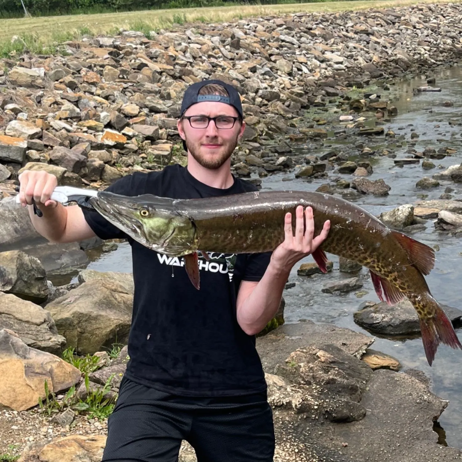 angler catch