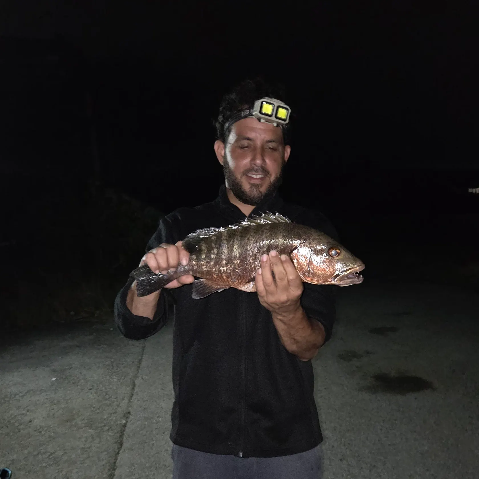 The most recent Pacific cubera snapper catches on Fishbrain