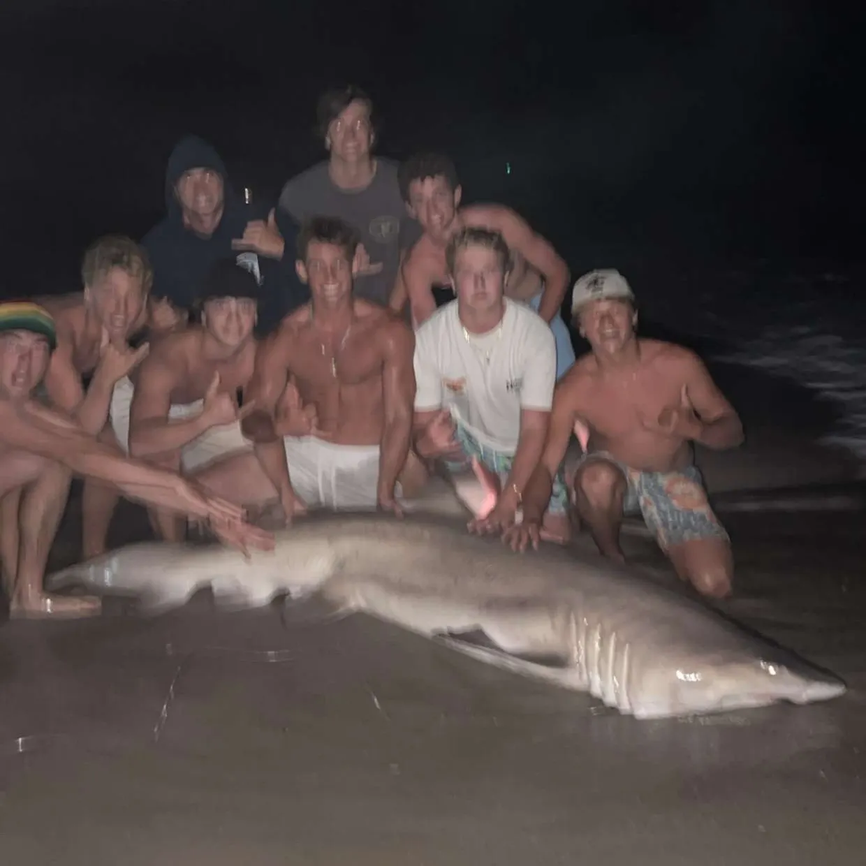 The most recent Sand tiger shark catches on Fishbrain