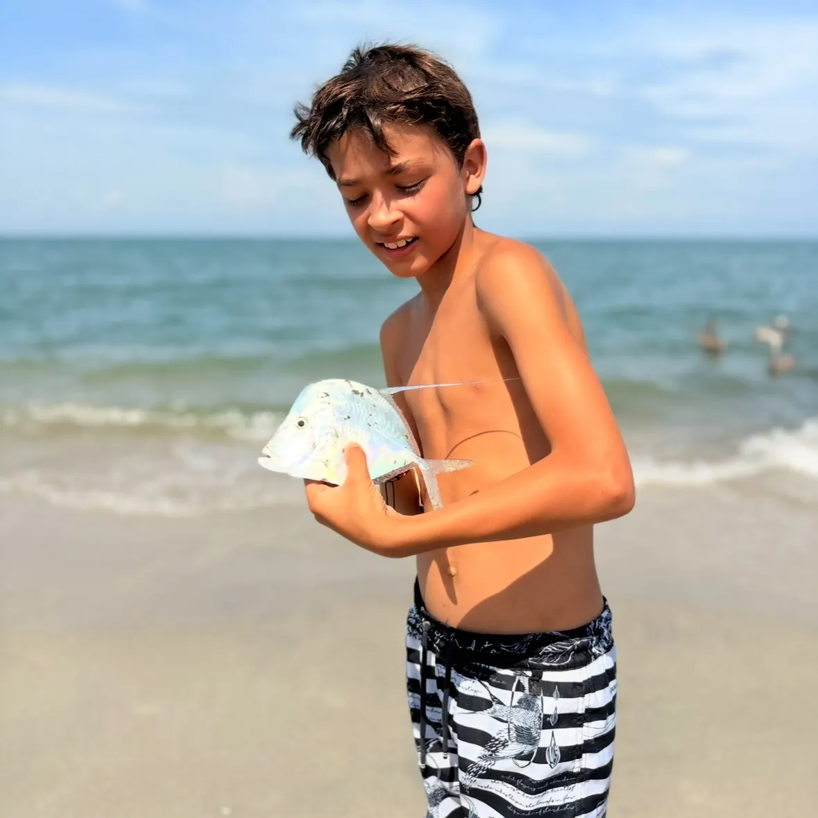 The most recent Lookdown catches on Fishbrain