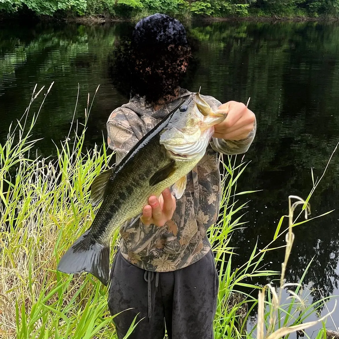 Largemouth bass caught on Fishbrain