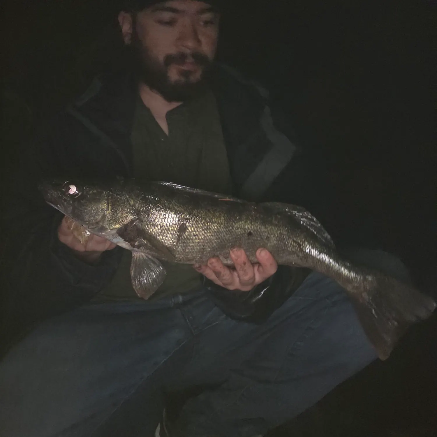 Walleye caught on Fishbrain