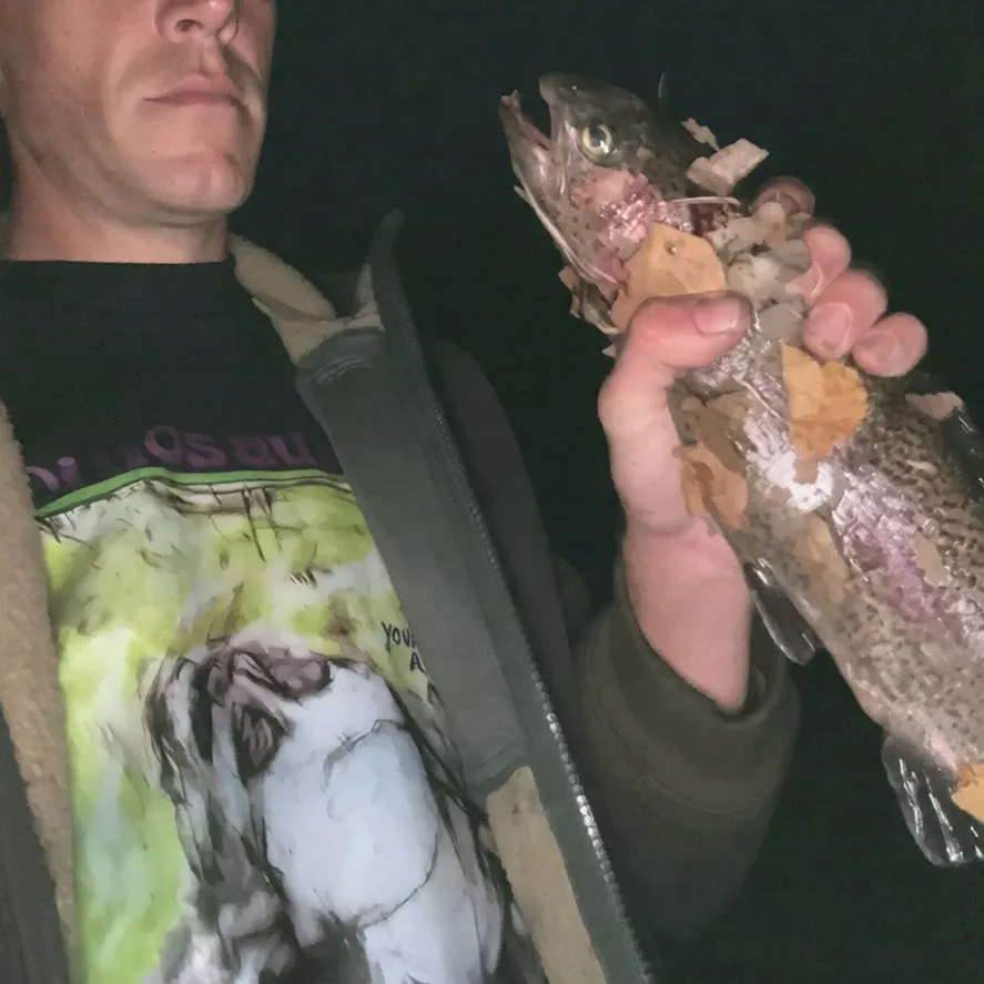 Rainbow trout caught on Fishbrain