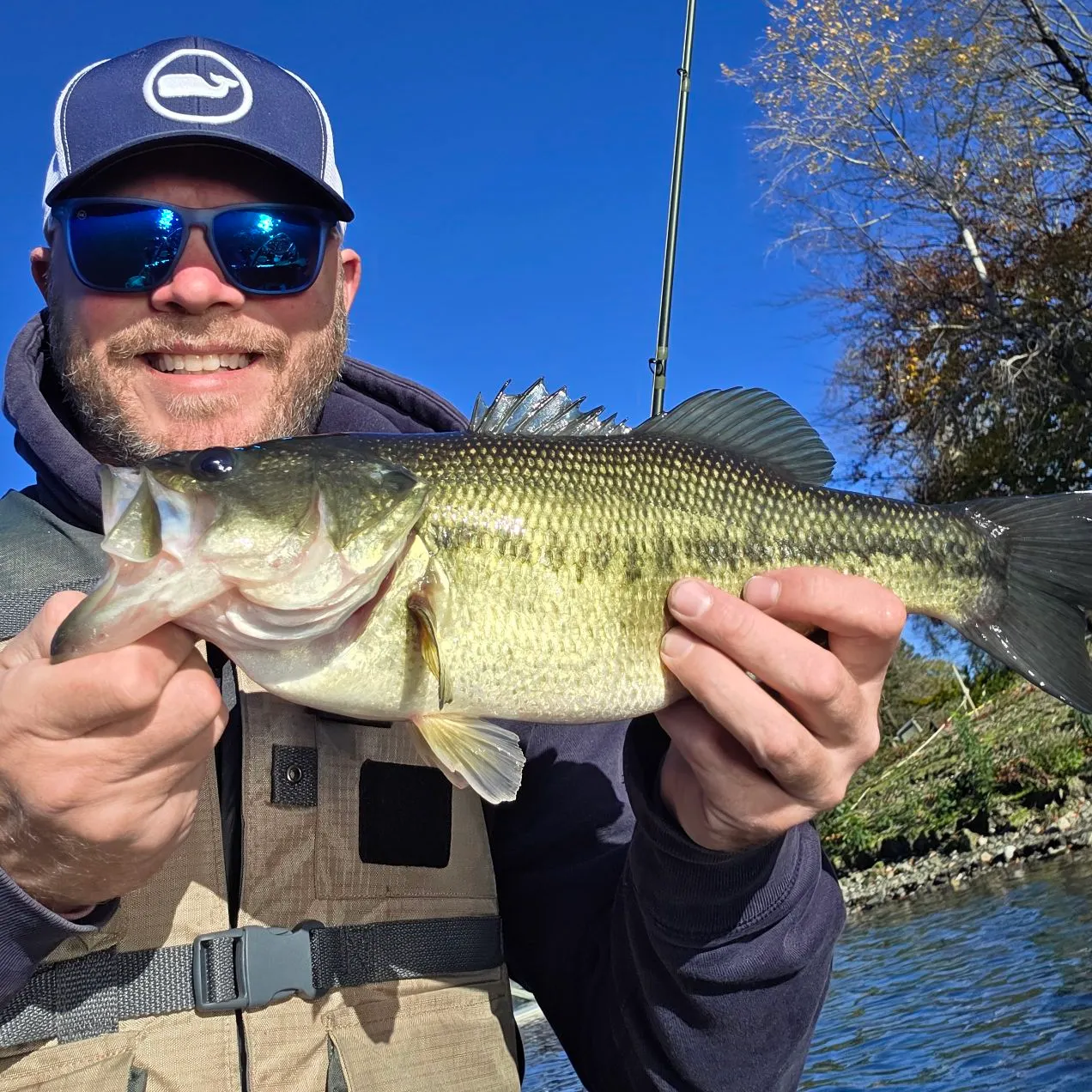 Largemouth bass caught on Fishbrain