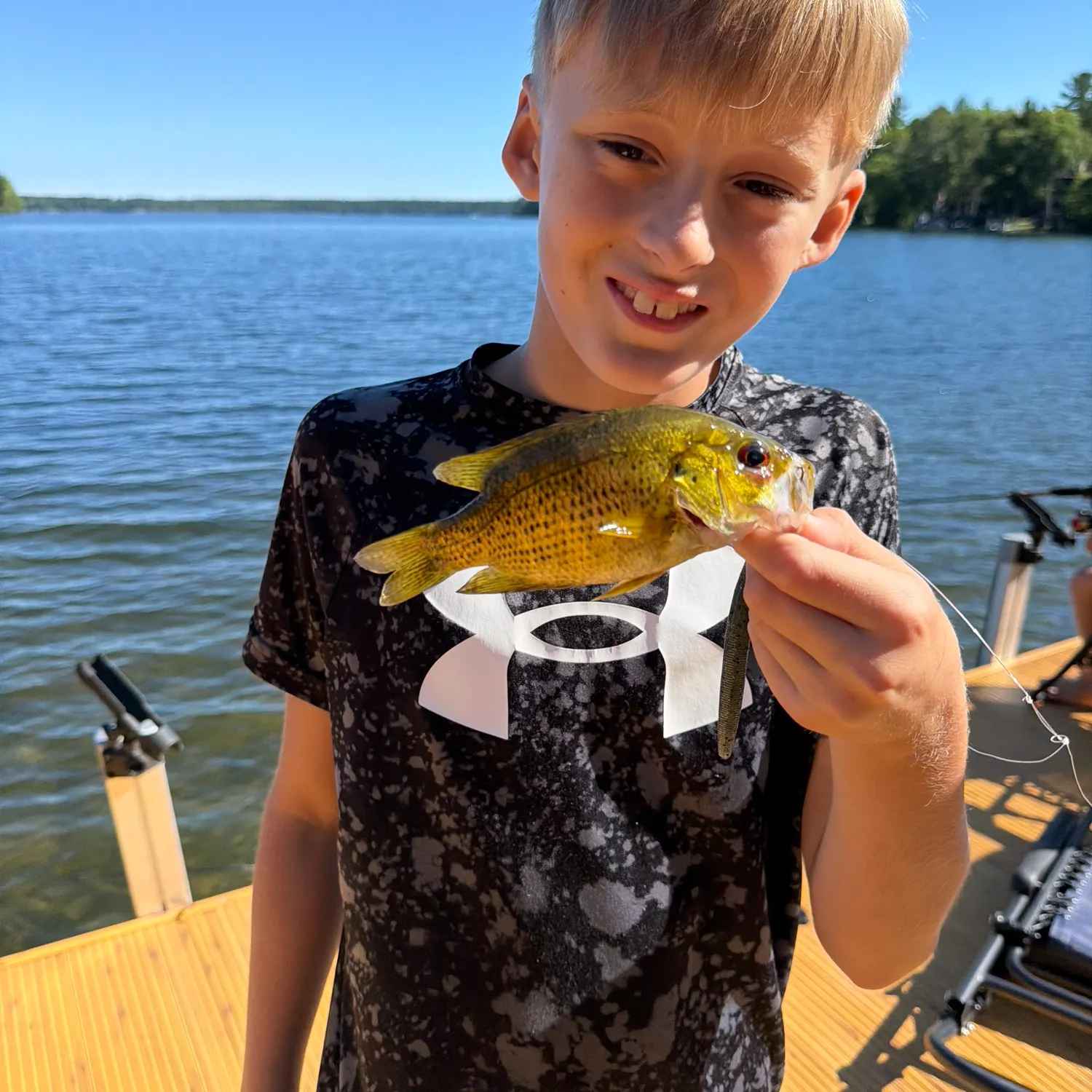 Rock bass caught on Fishbrain