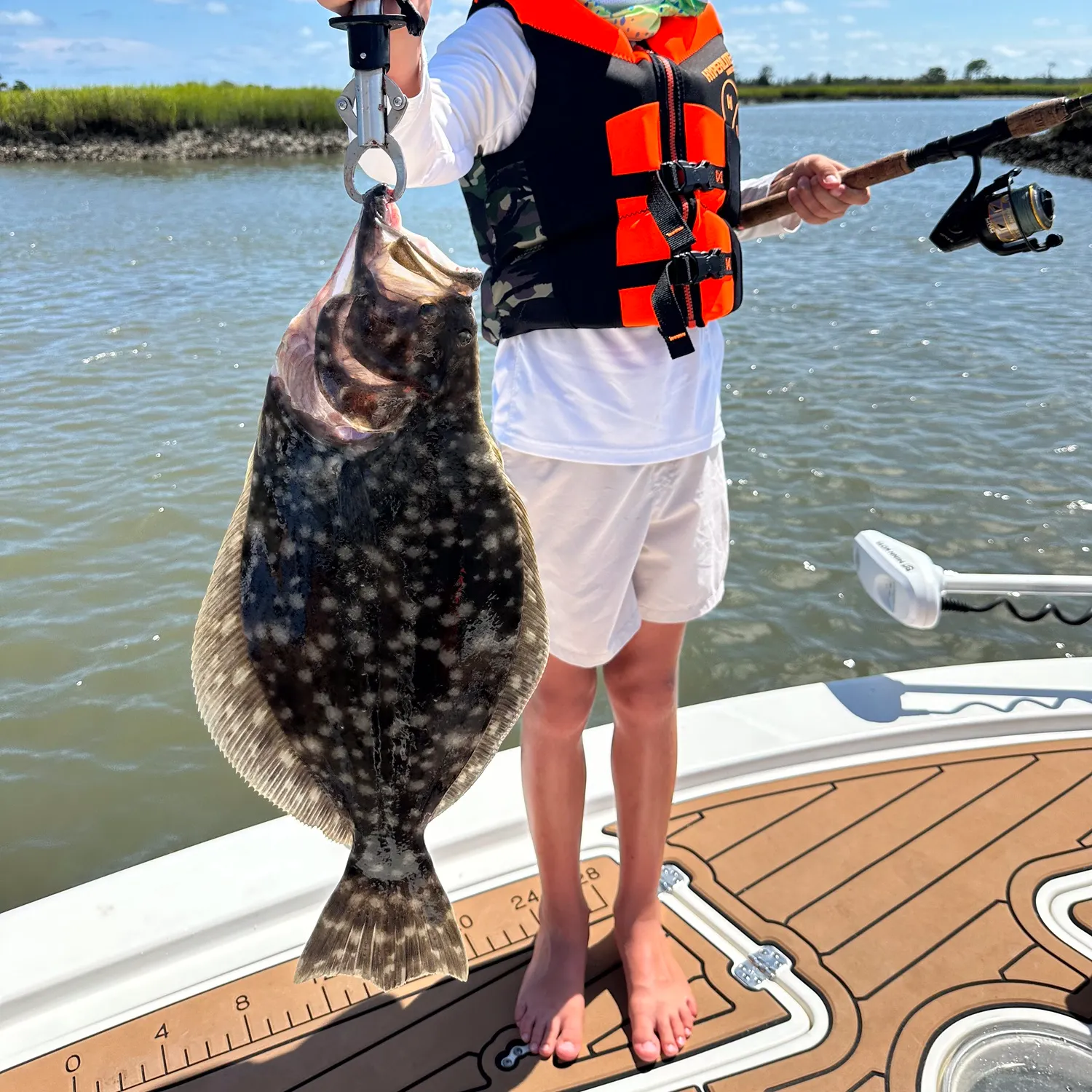 Summer flounder caught on Fishbrain