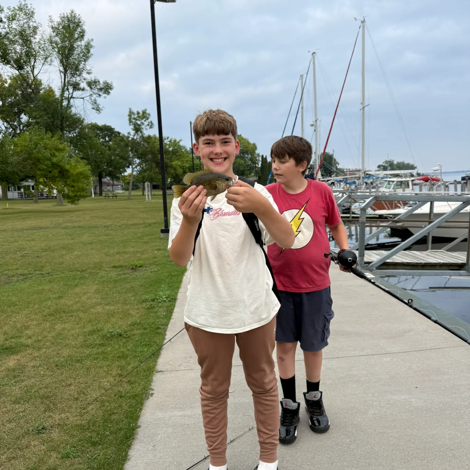 Rock bass caught on Fishbrain
