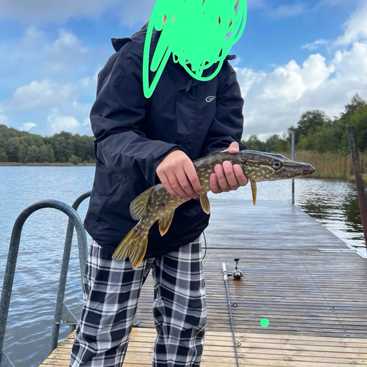 Northern pike caught on Fishbrain