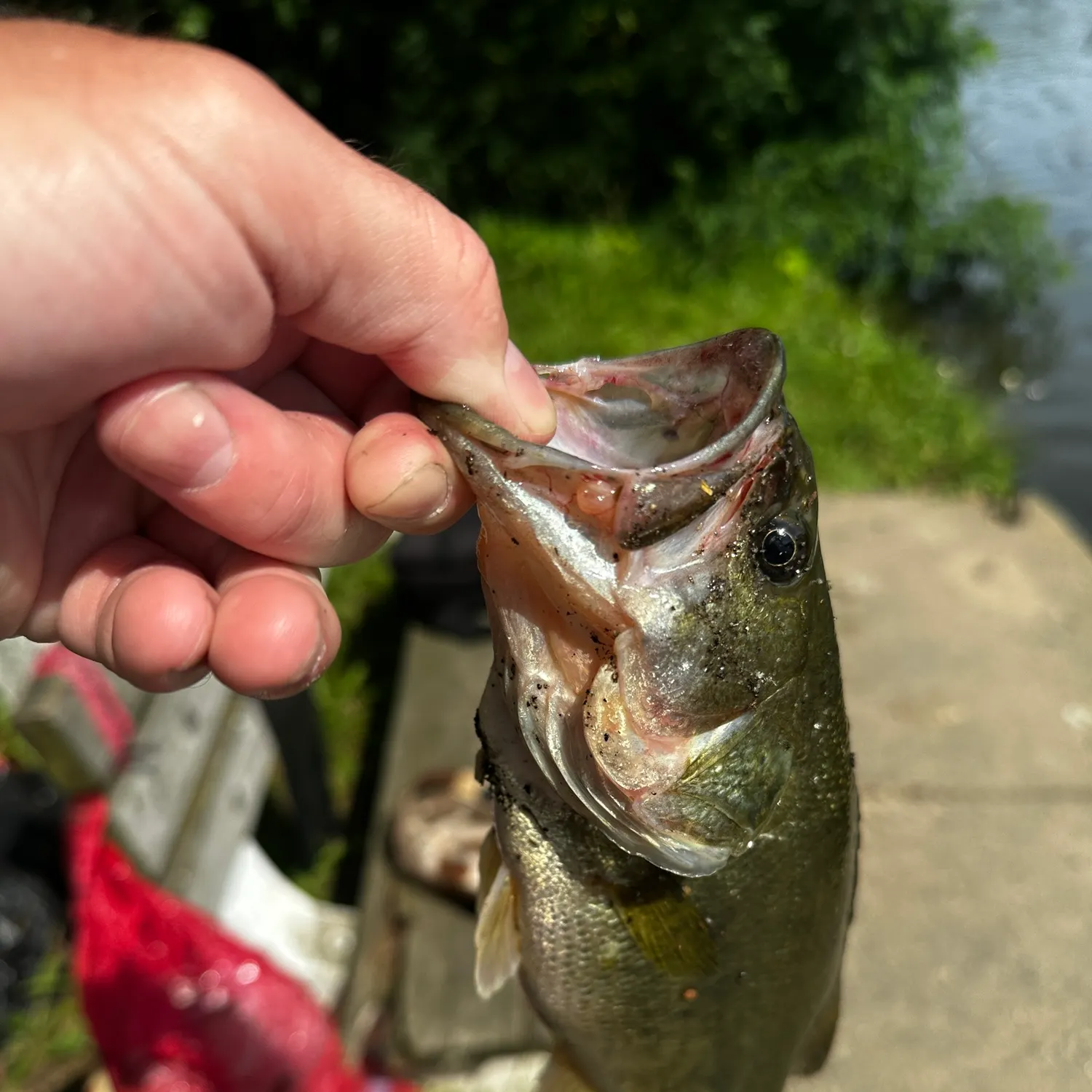 catch