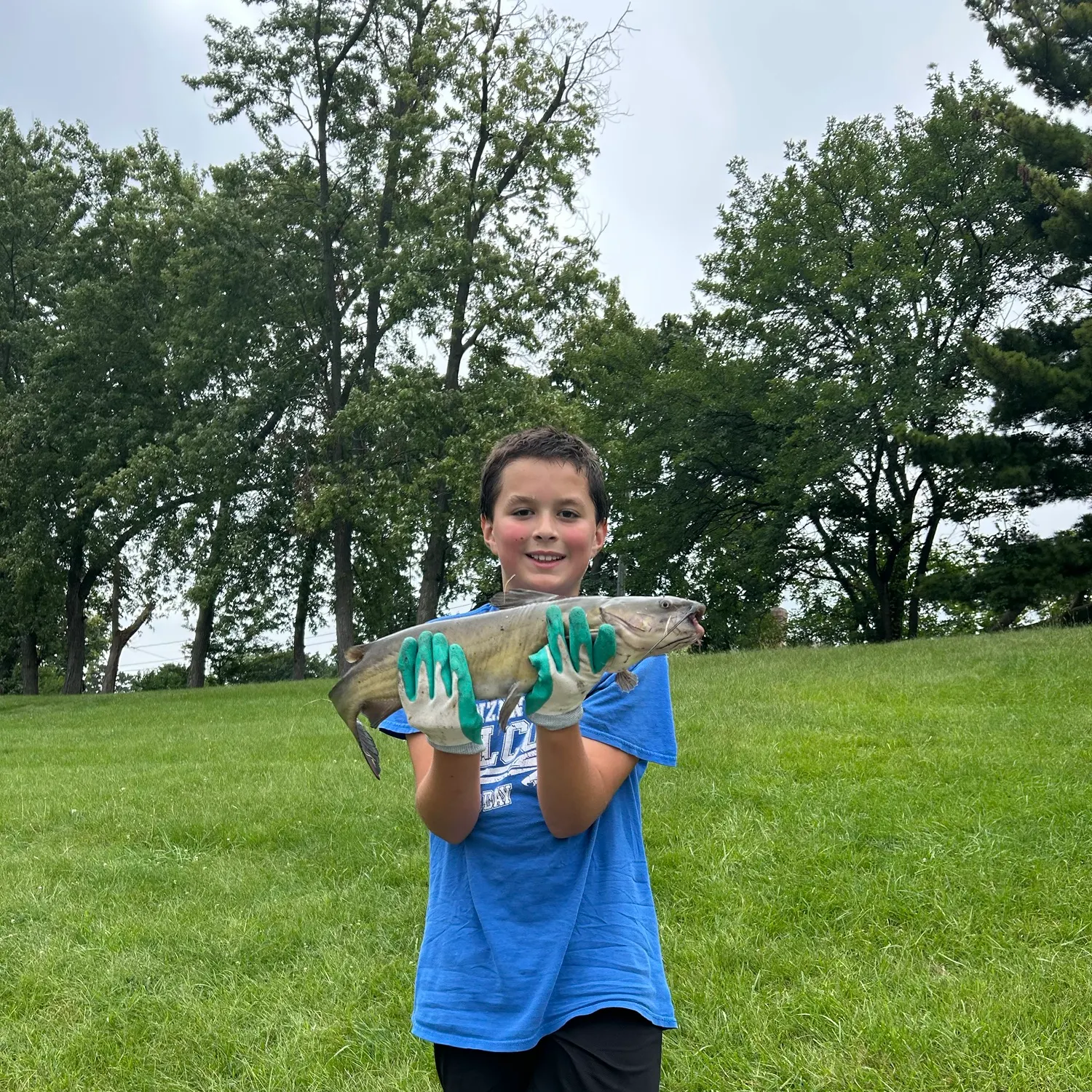 Channel catfish caught on Fishbrain
