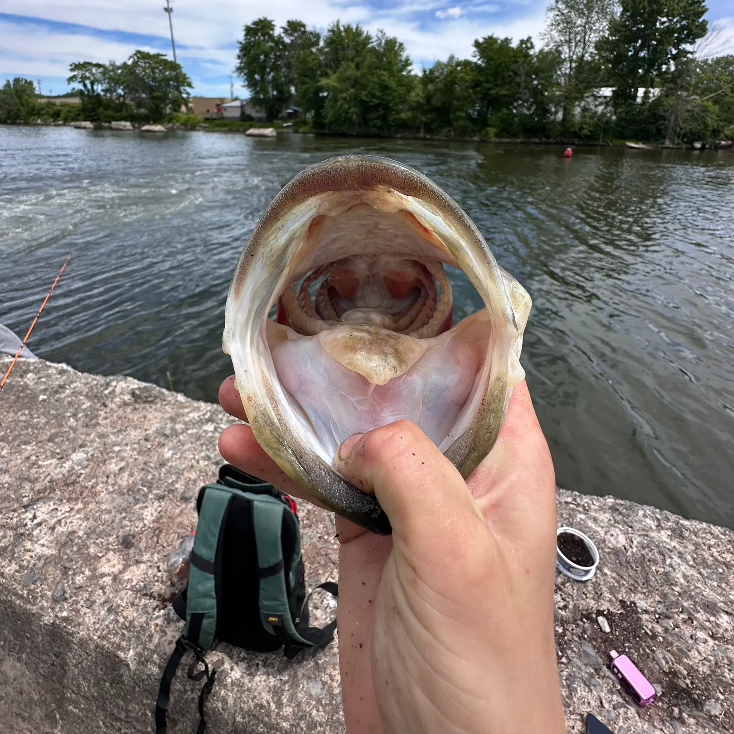 catch