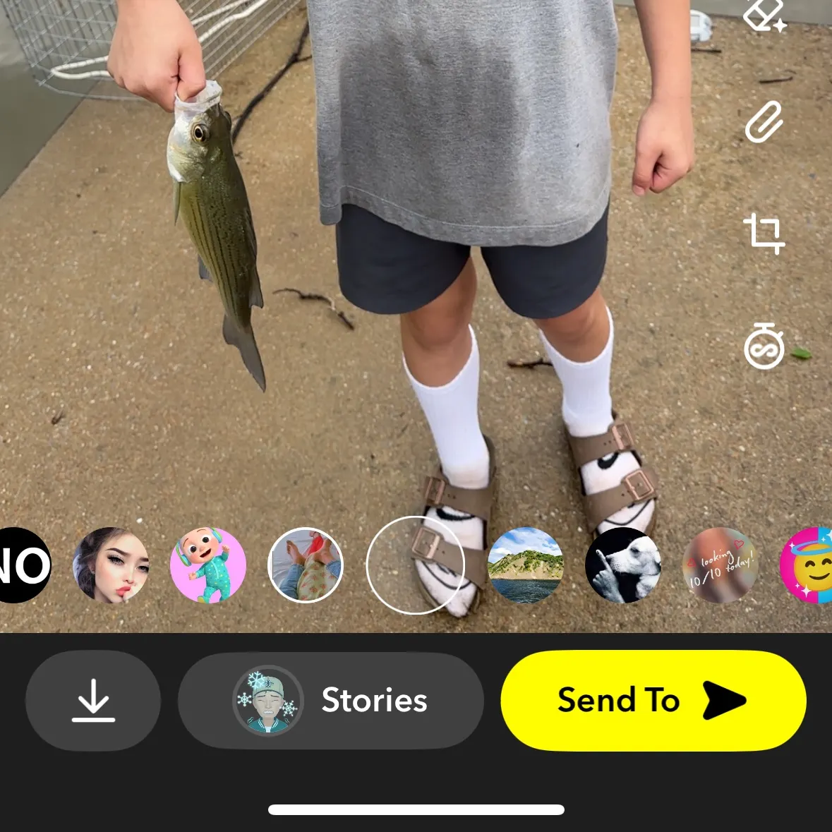 recently logged catches