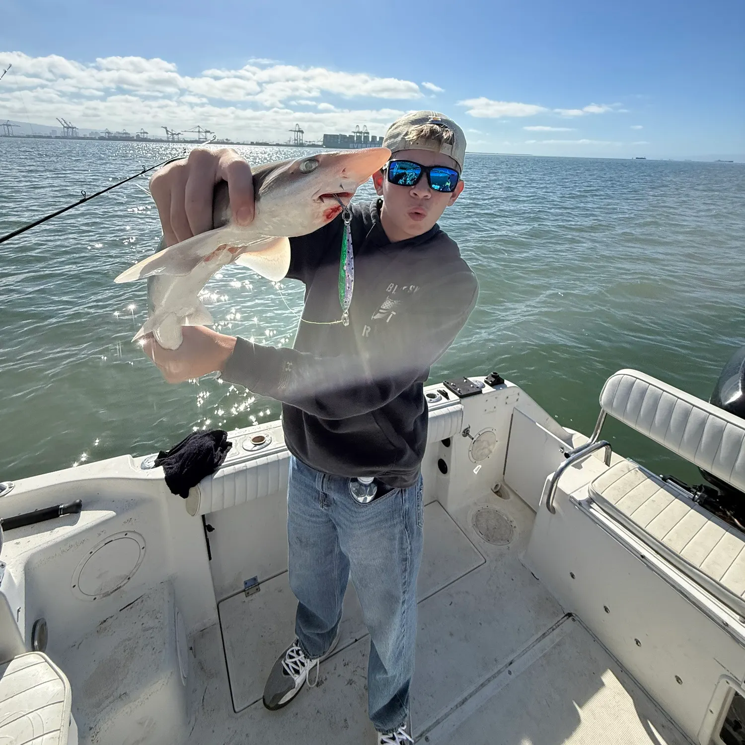 The most recent Grey smooth-hound catches on Fishbrain