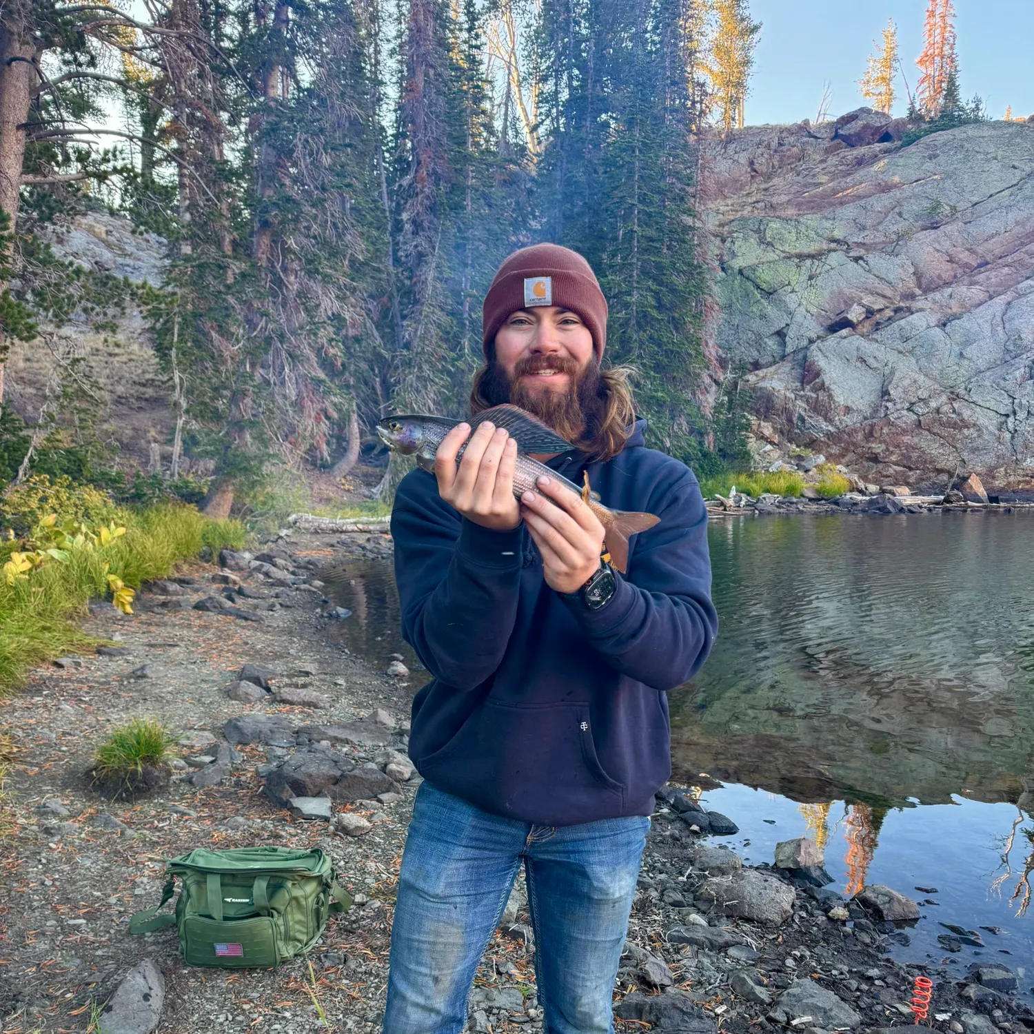 The most recent Arctic grayling catches on Fishbrain