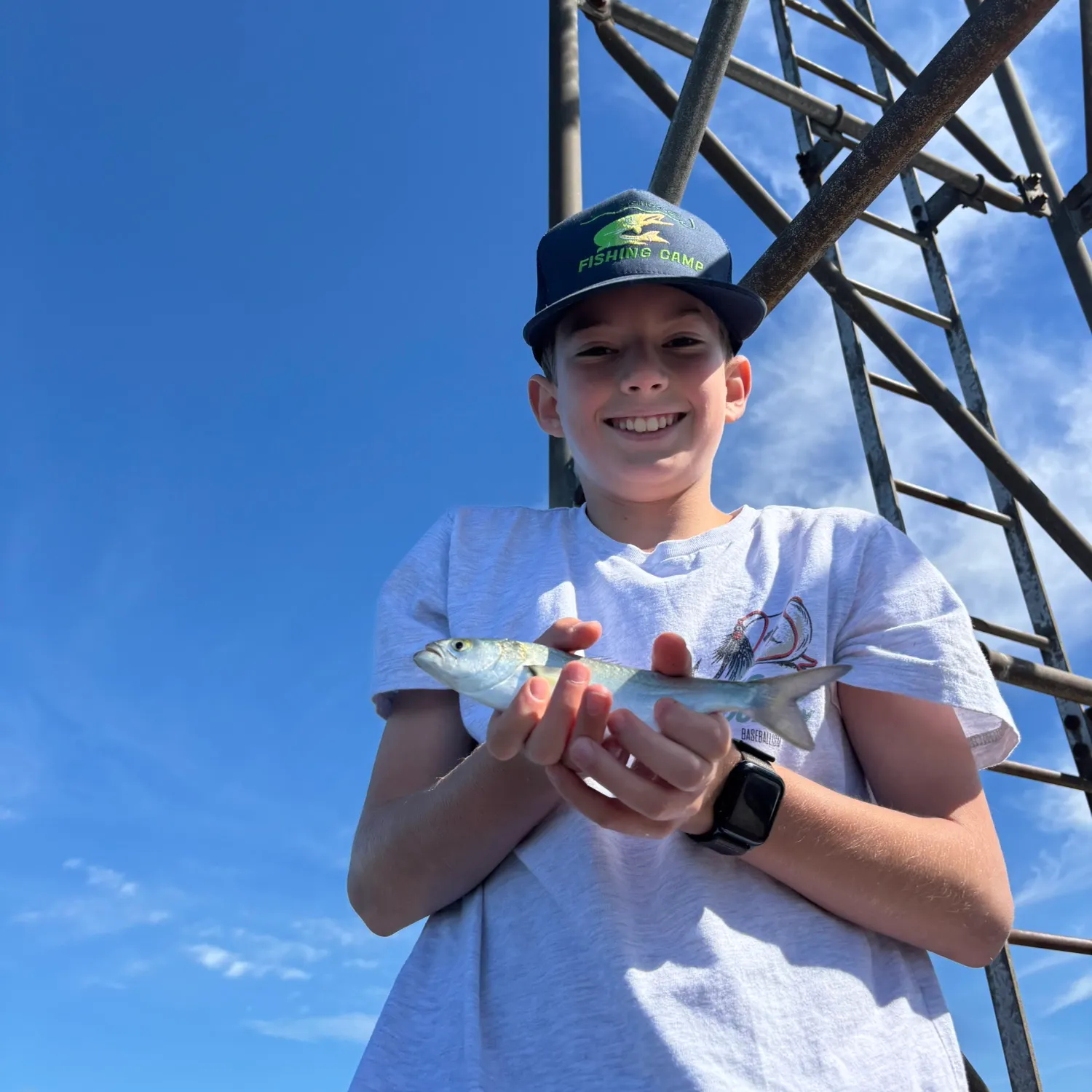 Bluefish caught on Fishbrain