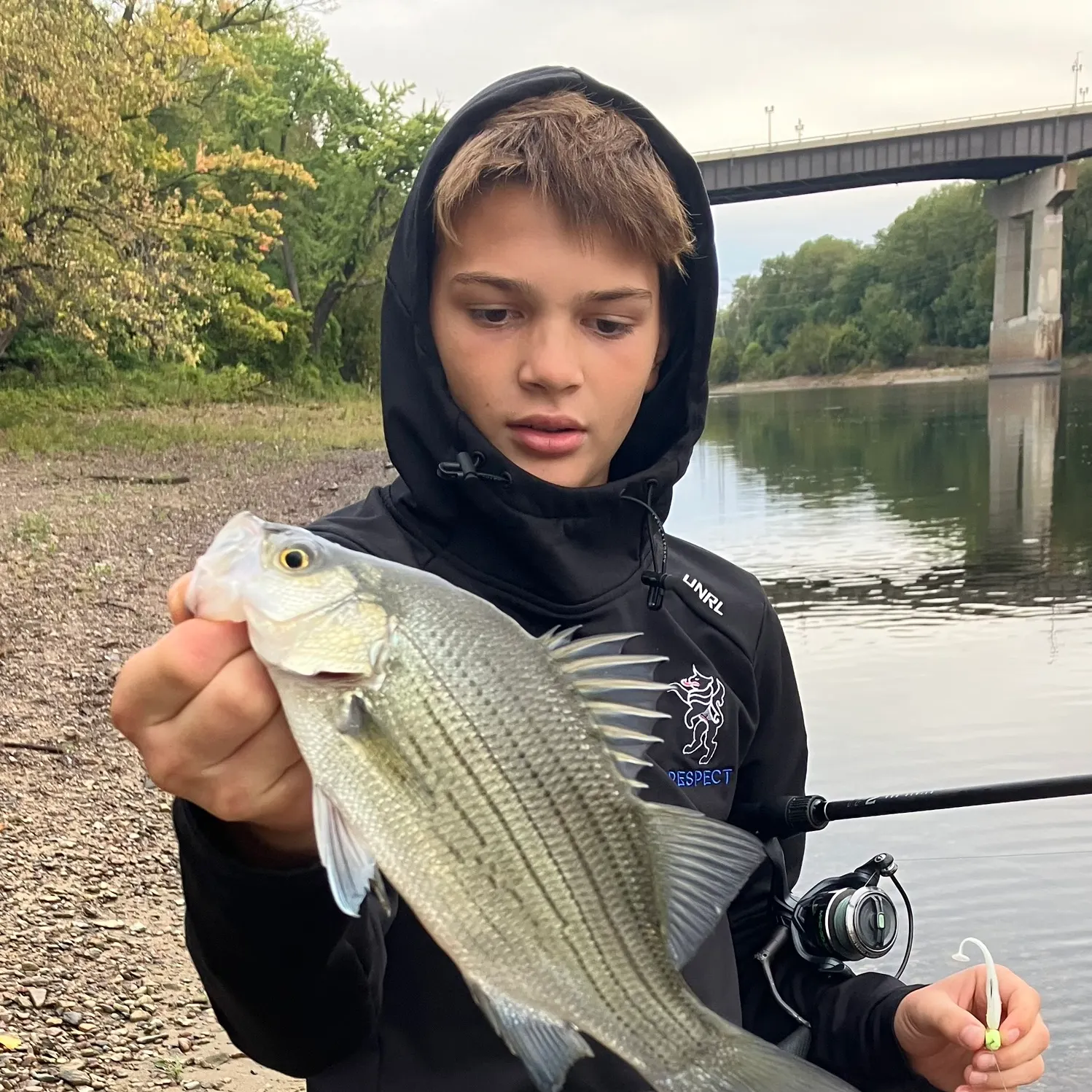 White bass caught on Fishbrain