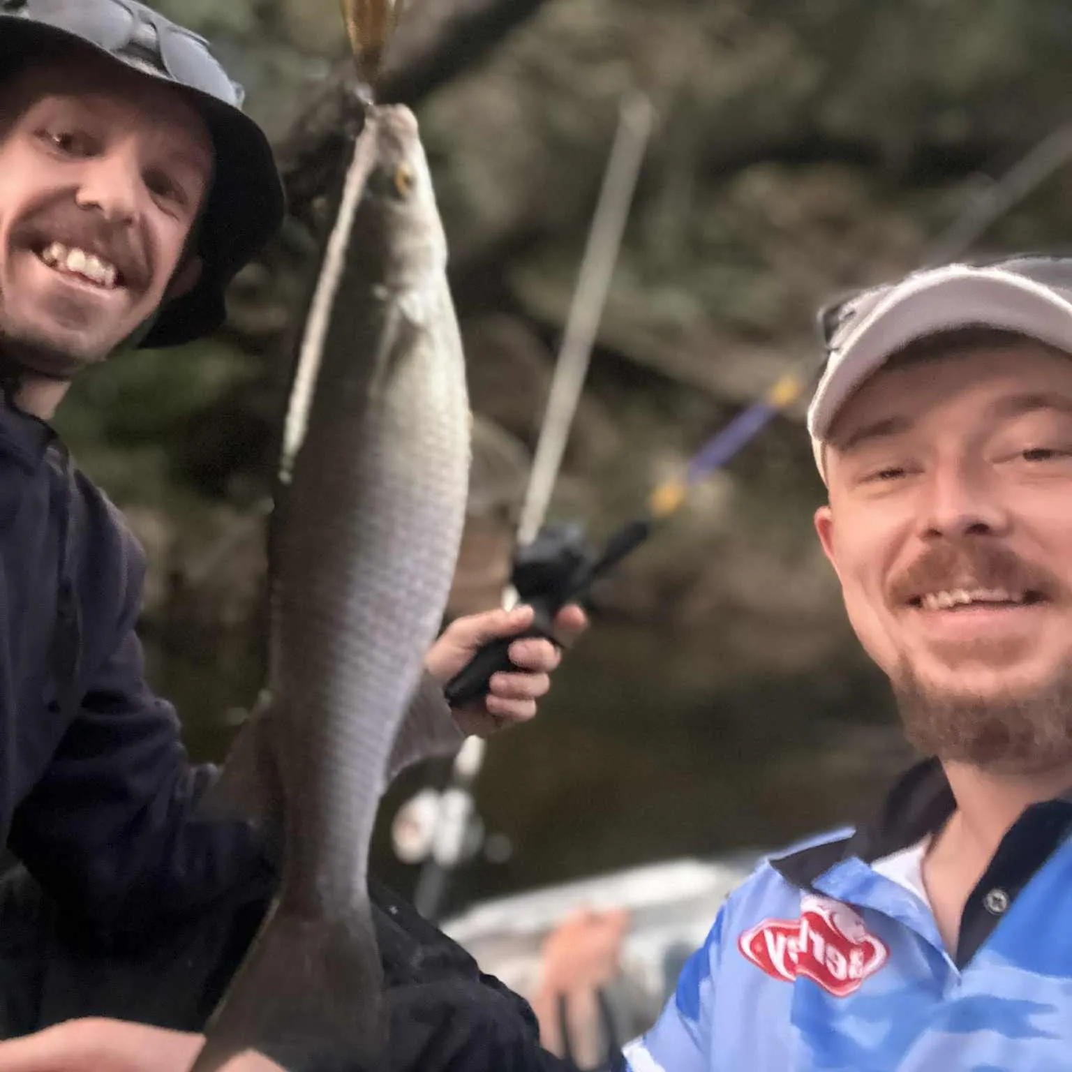The most recent Yellow-eye mullet catches on Fishbrain