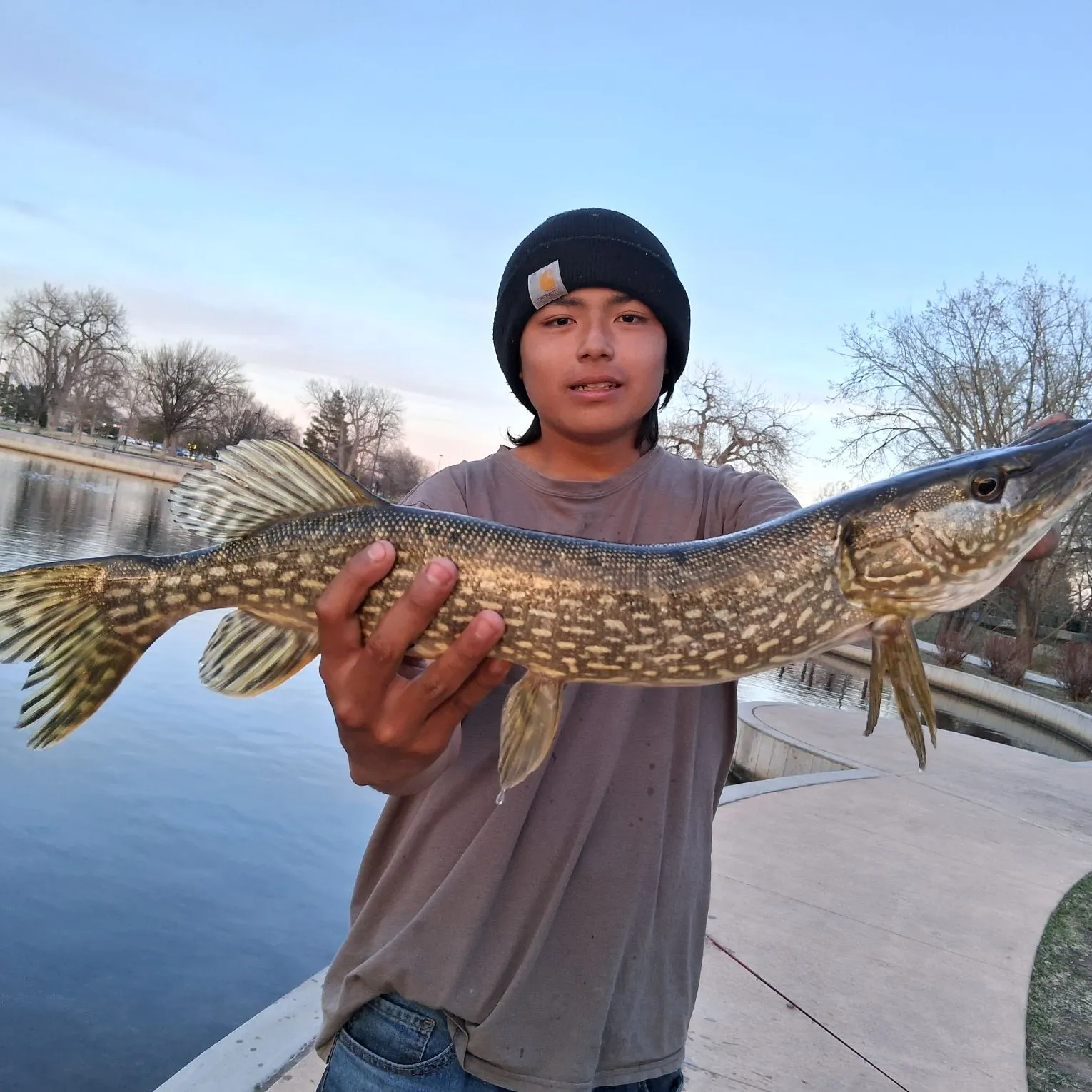 recently logged catches