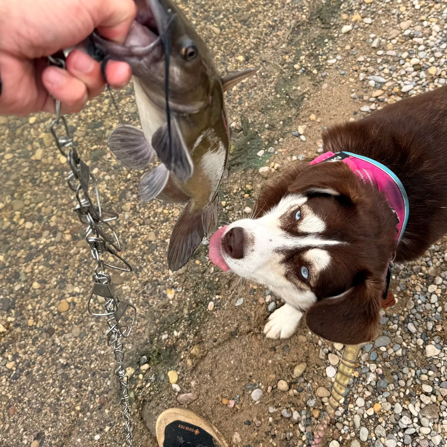 catch