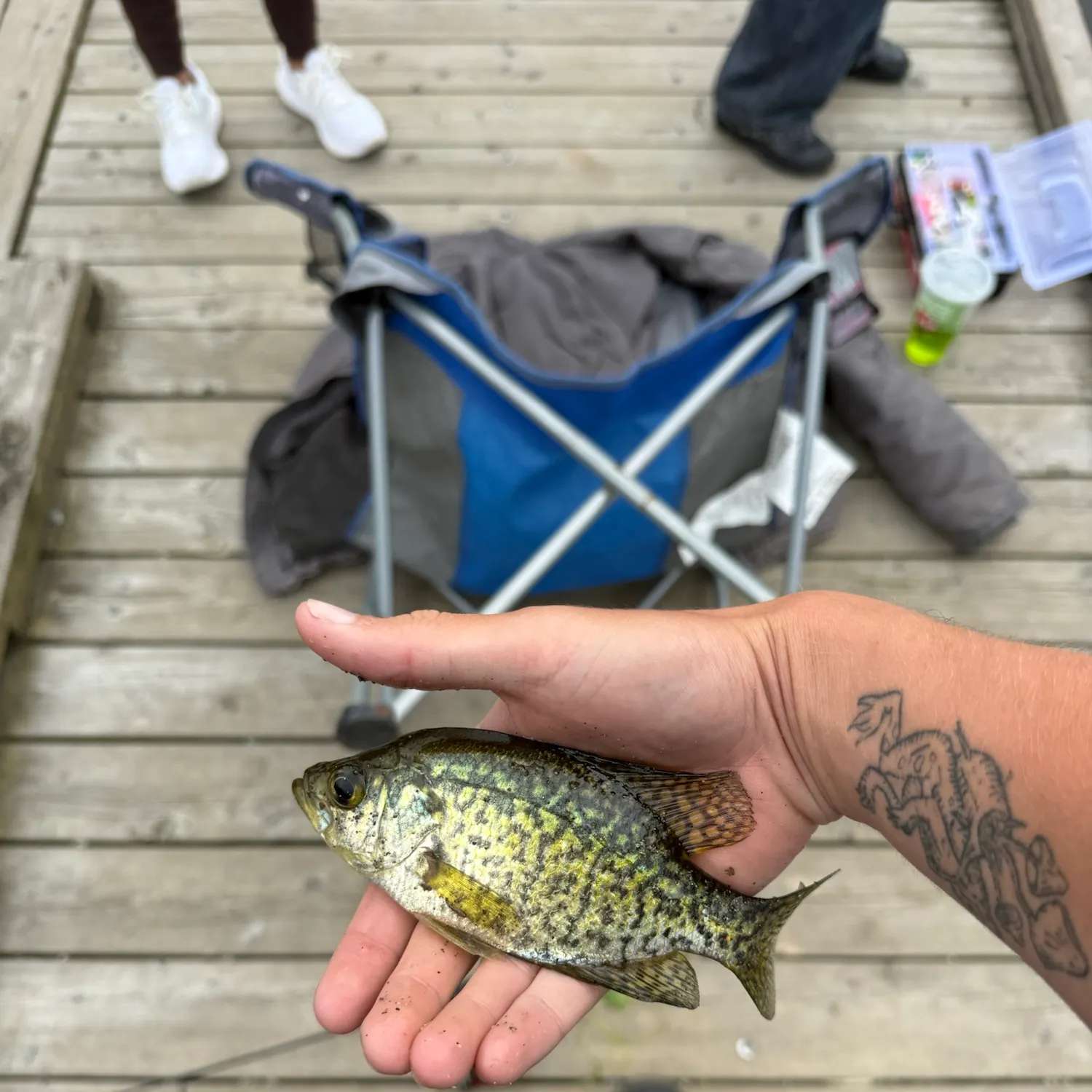 catch