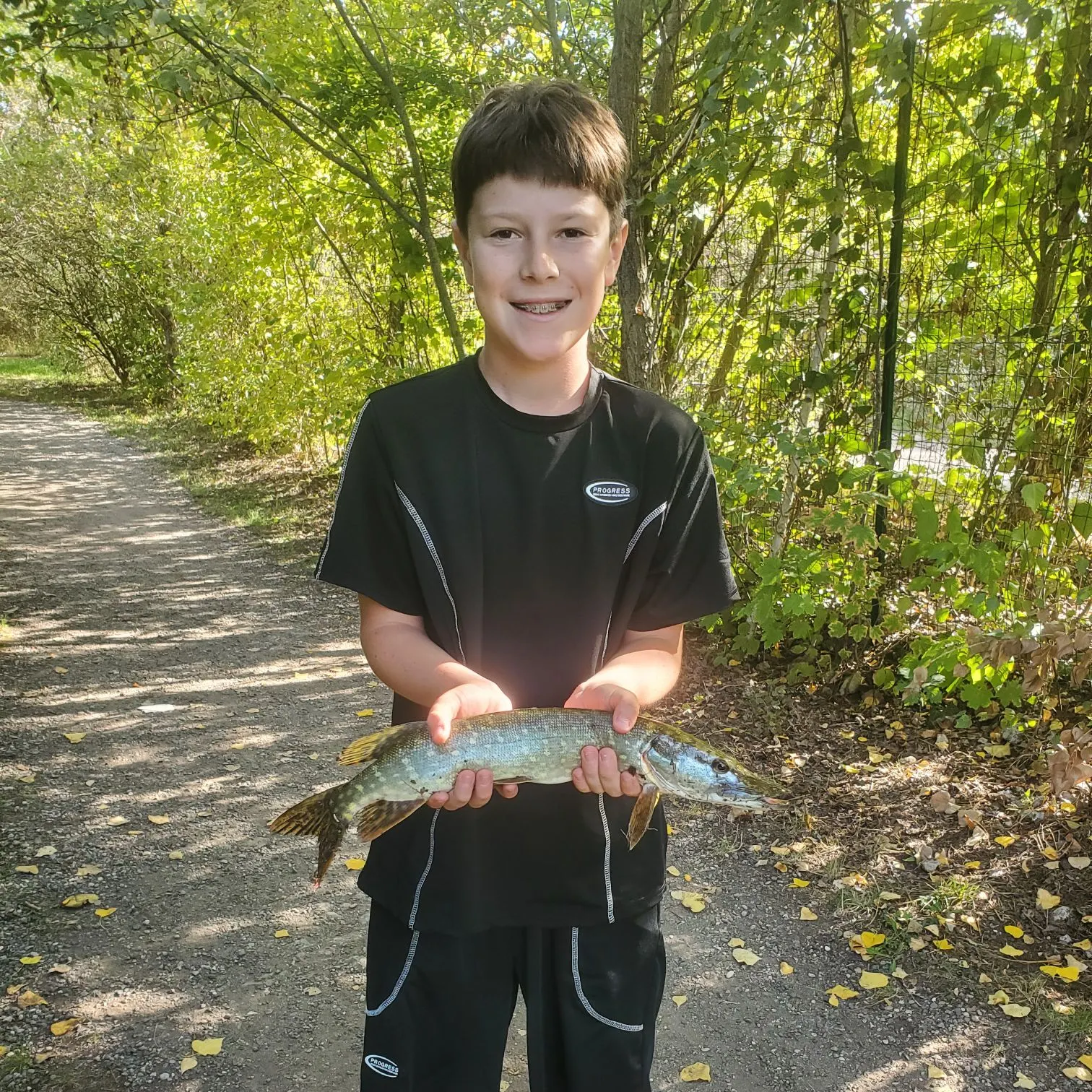 Northern pike caught on Fishbrain