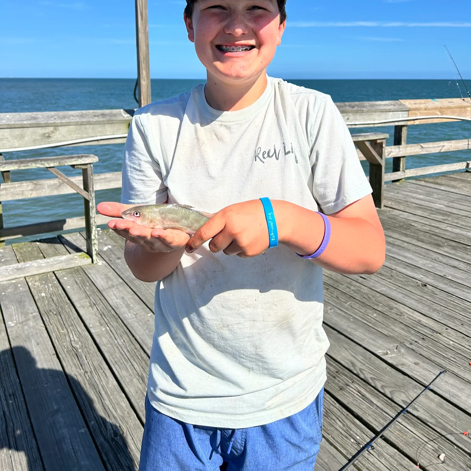 The most recent Whiting catches on Fishbrain