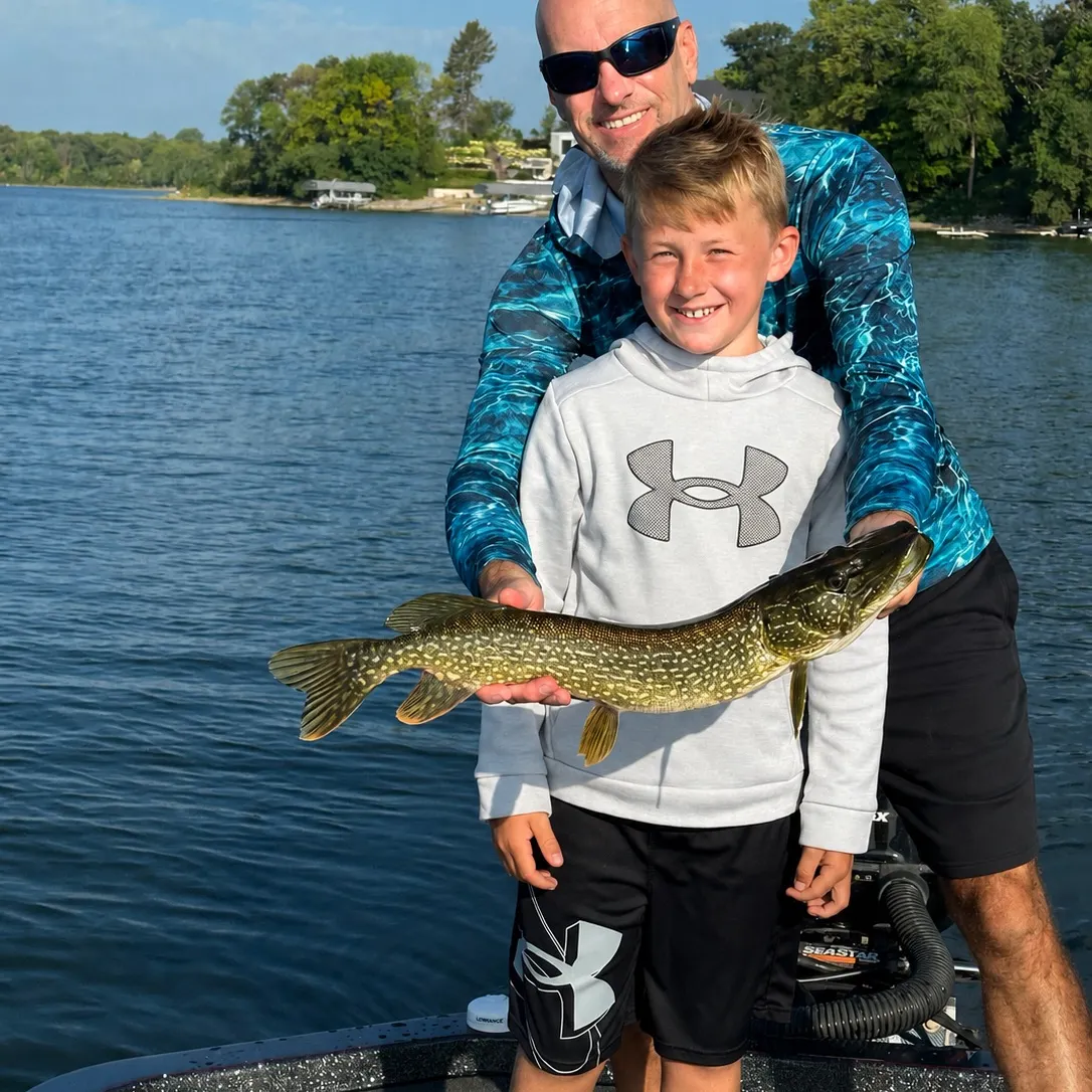 Northern pike caught on Fishbrain