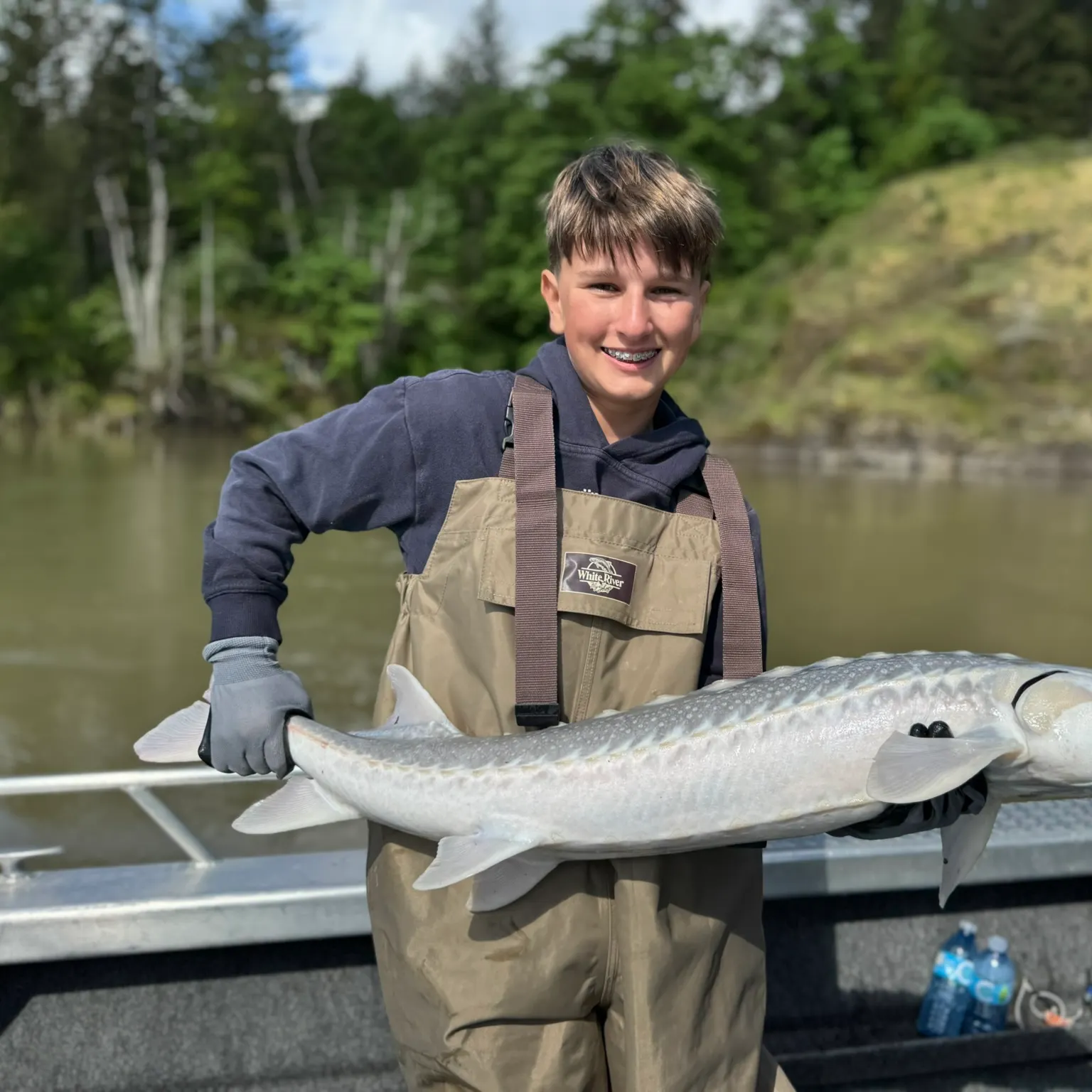 The most recent White sturgeon catches on Fishbrain
