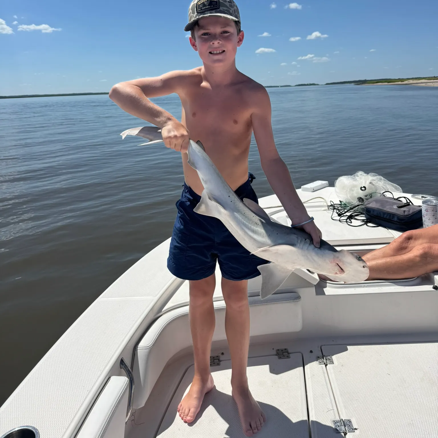 The most recent Bonnethead shark catches on Fishbrain