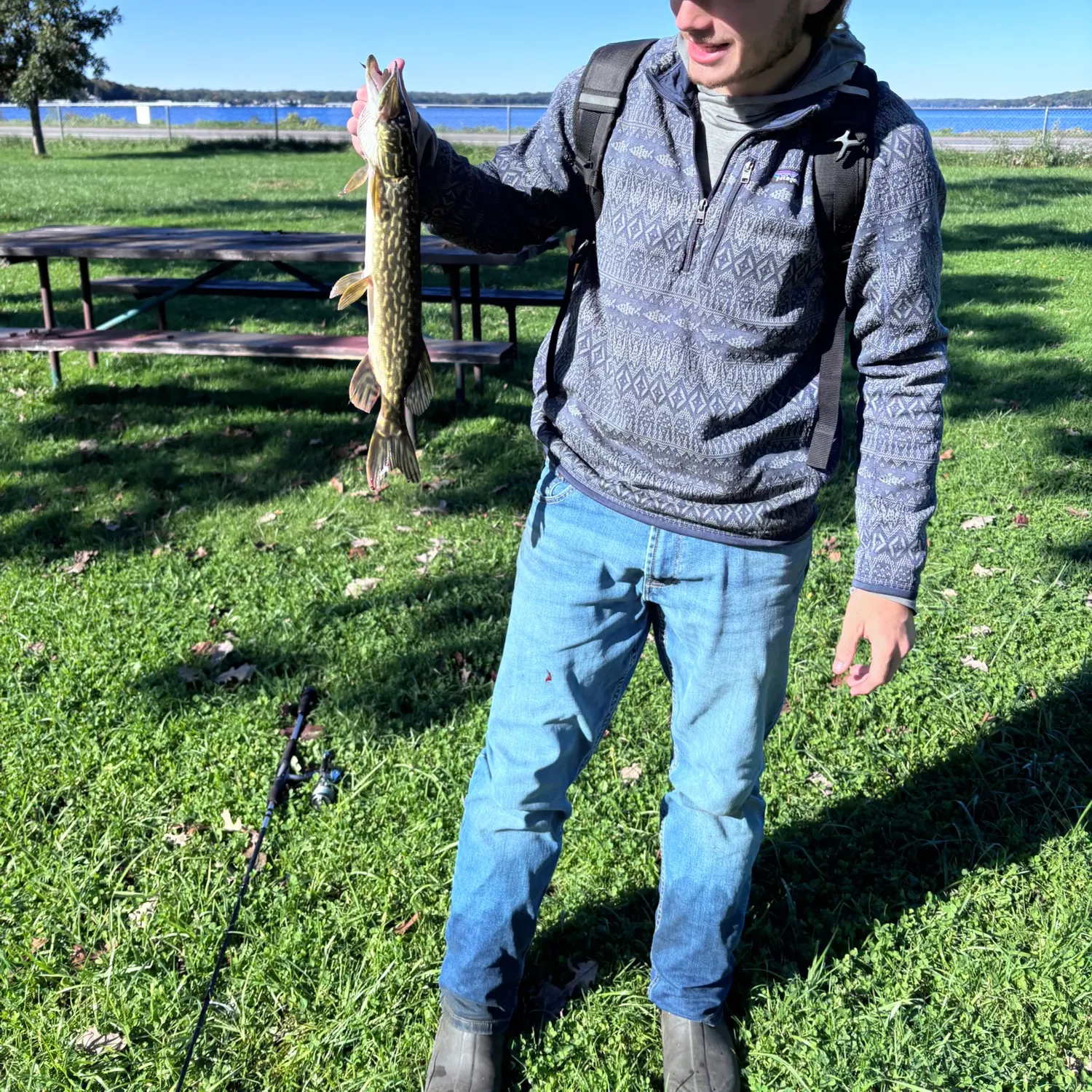 Northern pike caught on Fishbrain