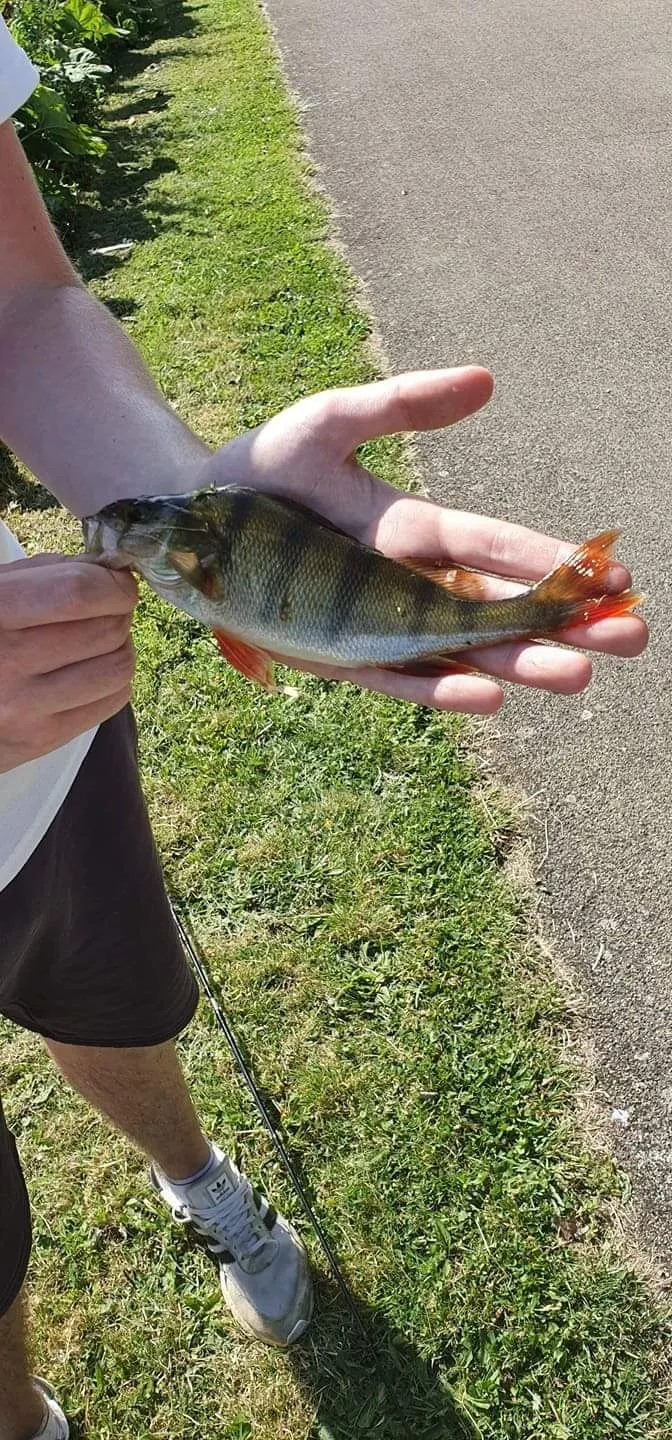 Post image from shanef2ky