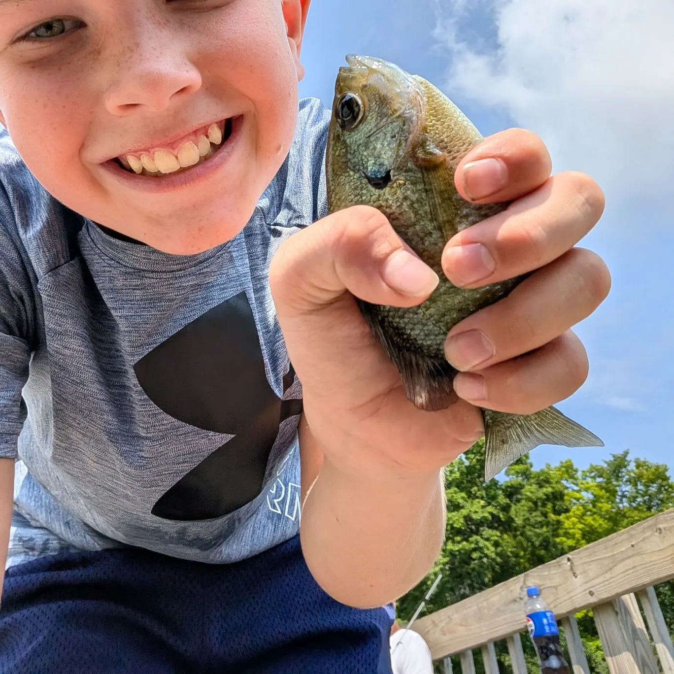 Bluegill caught on Fishbrain