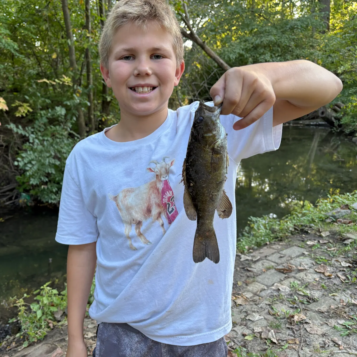 Smallmouth bass caught on Fishbrain
