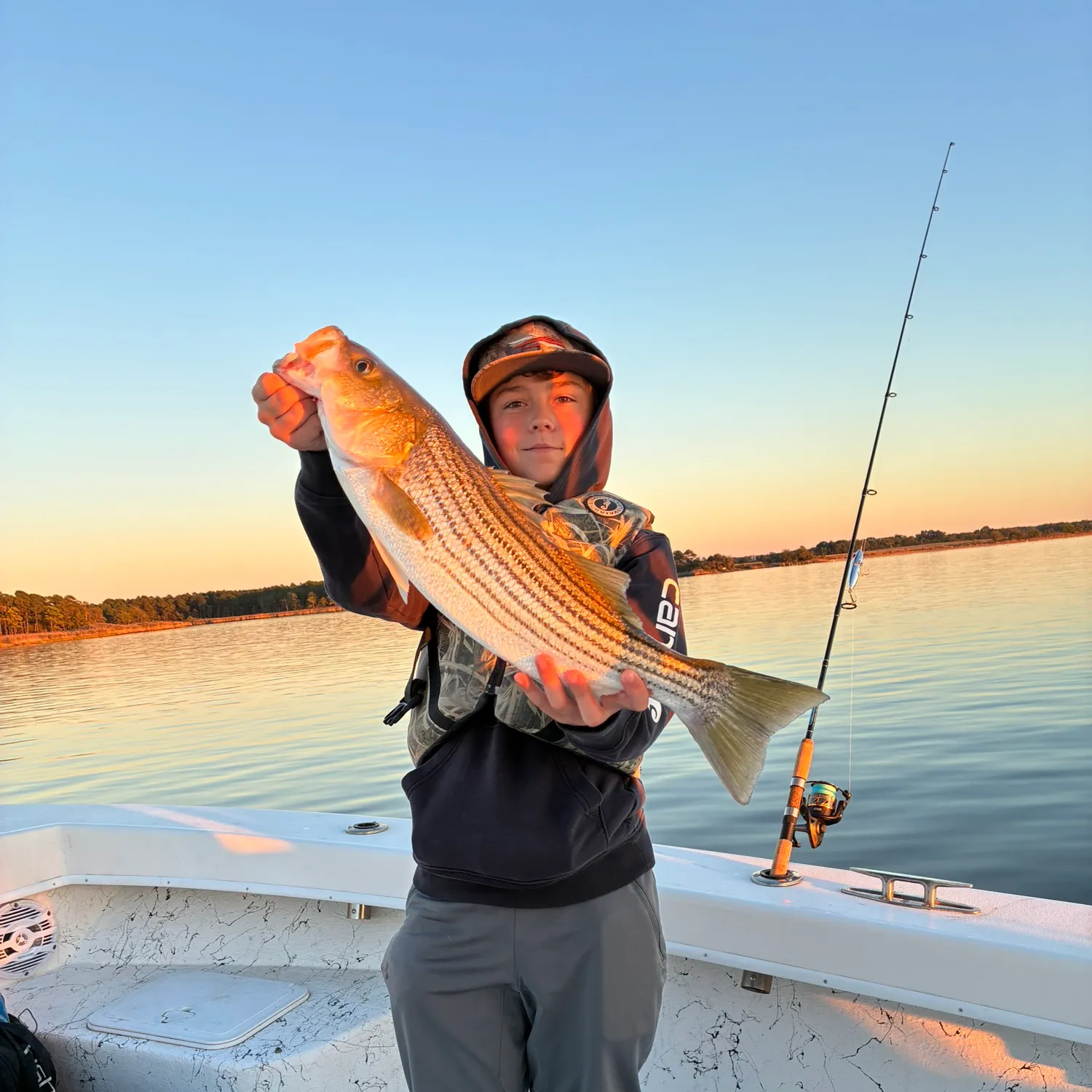 Striped bass caught on Fishbrain