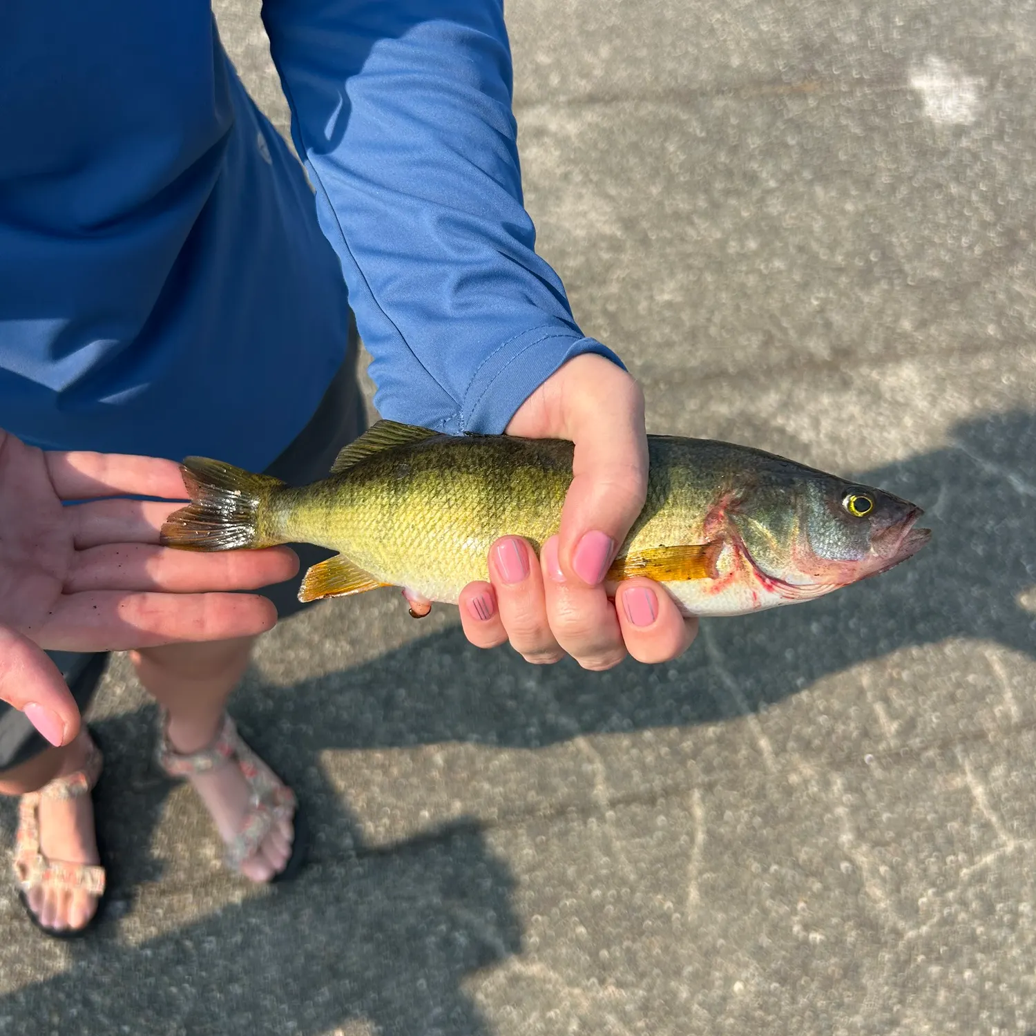catch