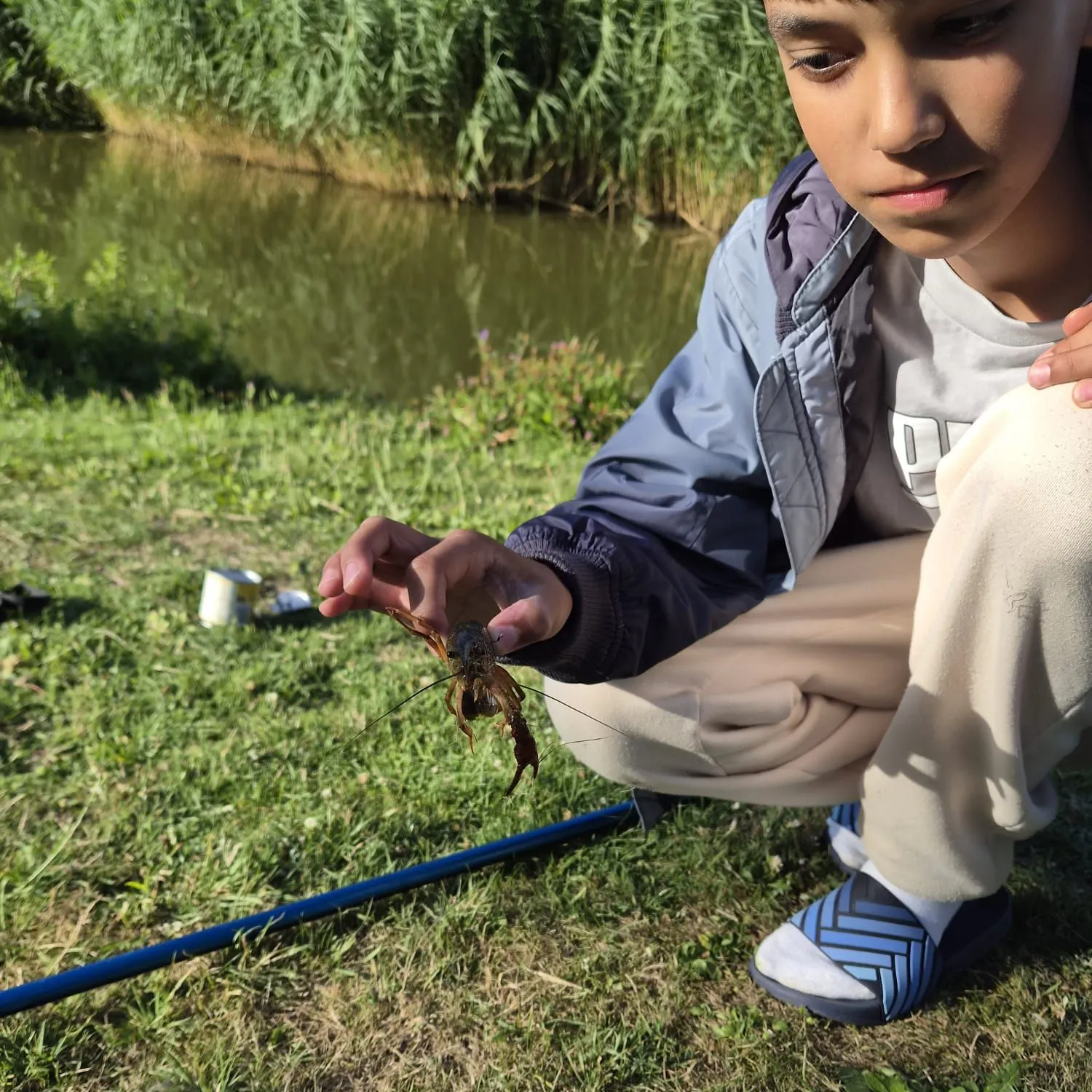 The most recent Red swamp crayfish catches on Fishbrain