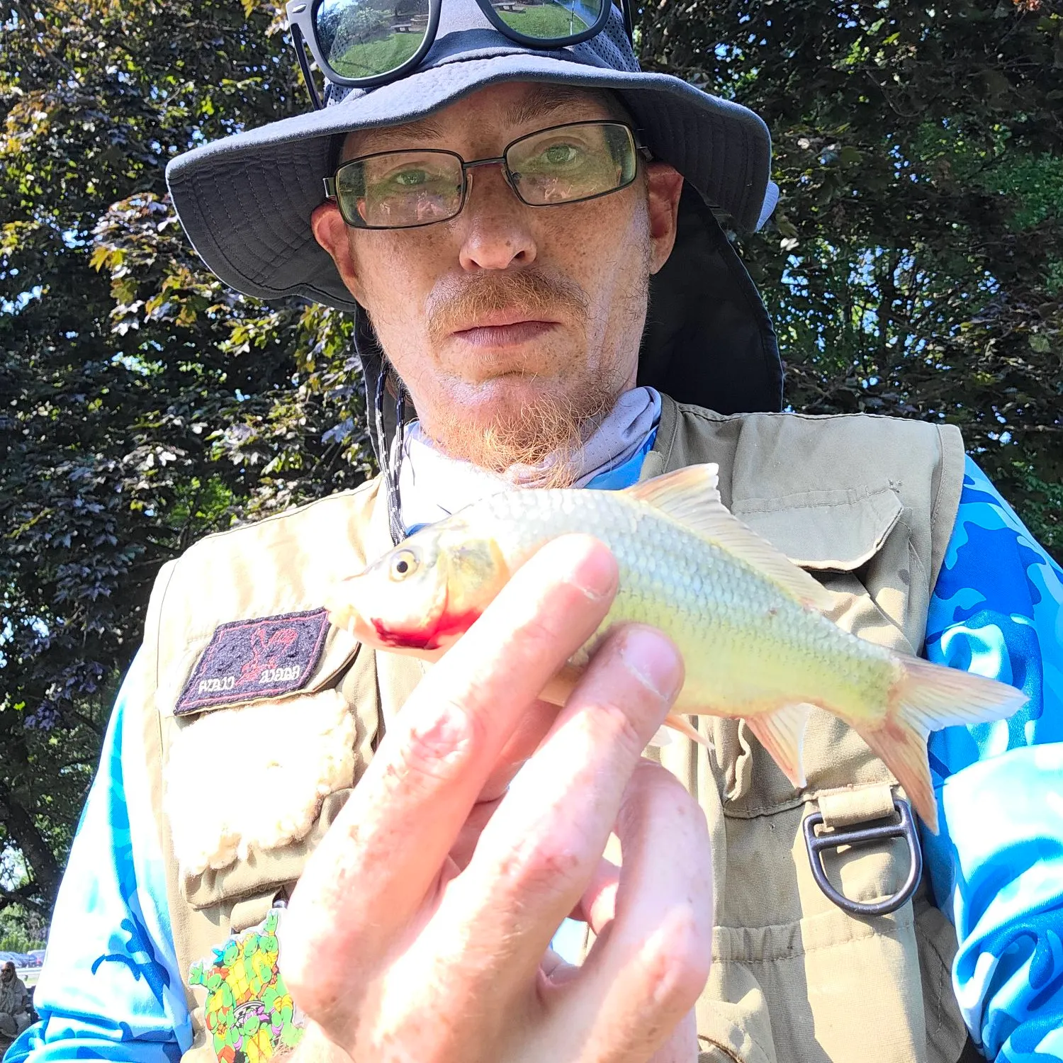 The most recent River carpsucker catches on Fishbrain