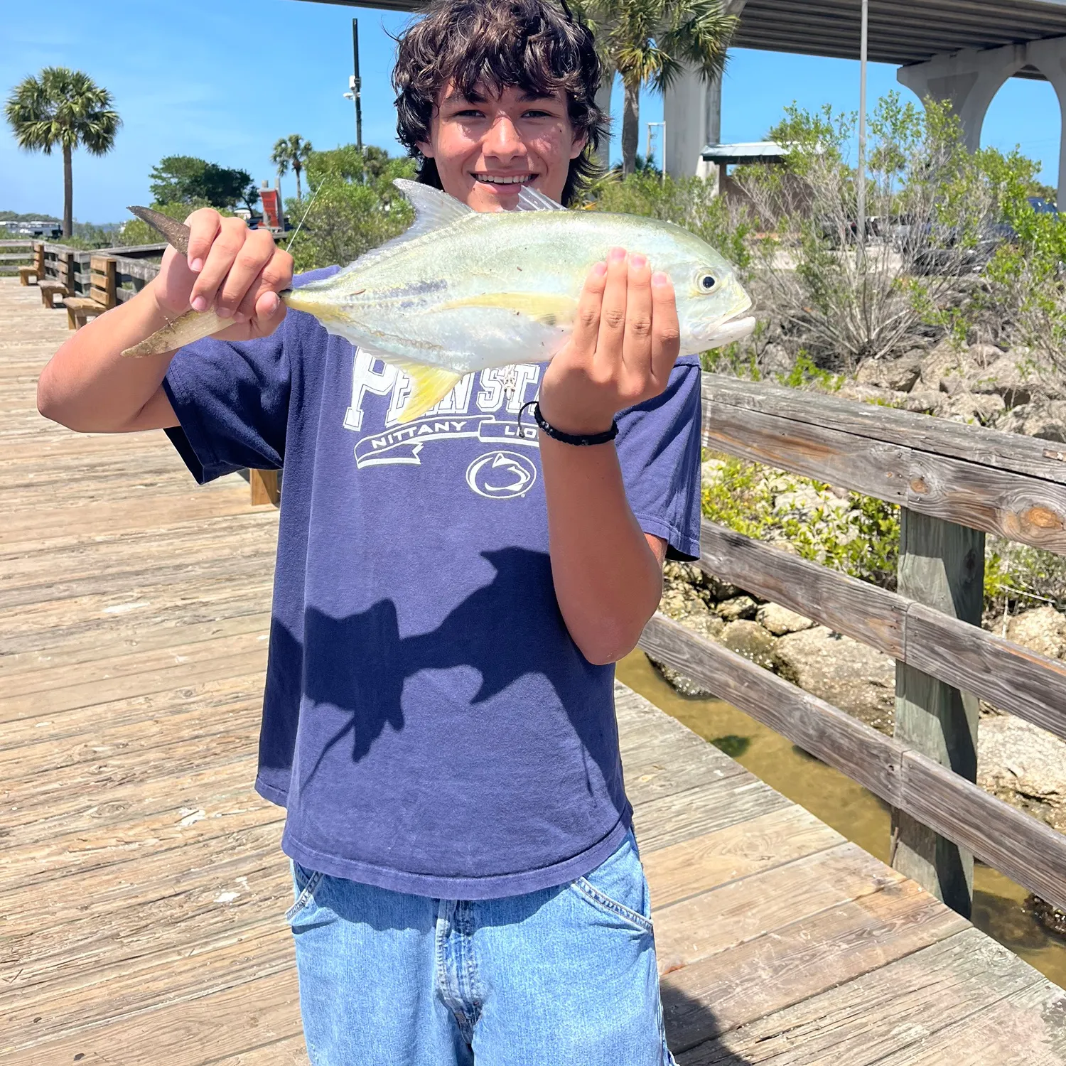 The most recent Crevalle jack catches on Fishbrain
