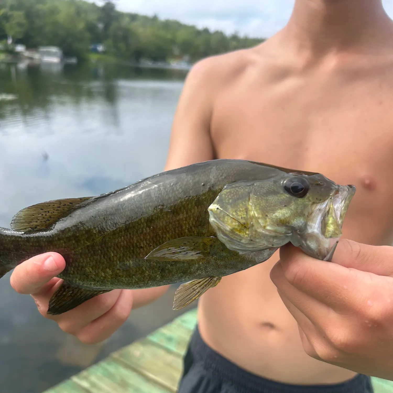 Smallmouth bass caught on Fishbrain