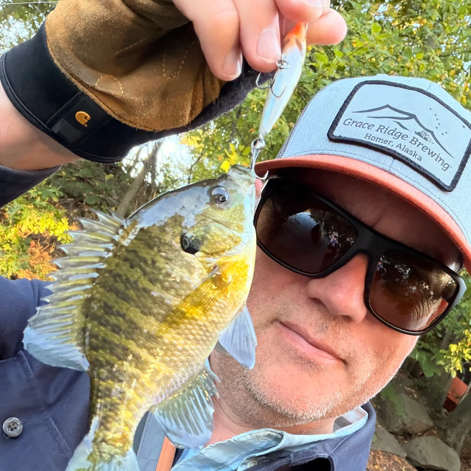 Bluegill caught on Fishbrain