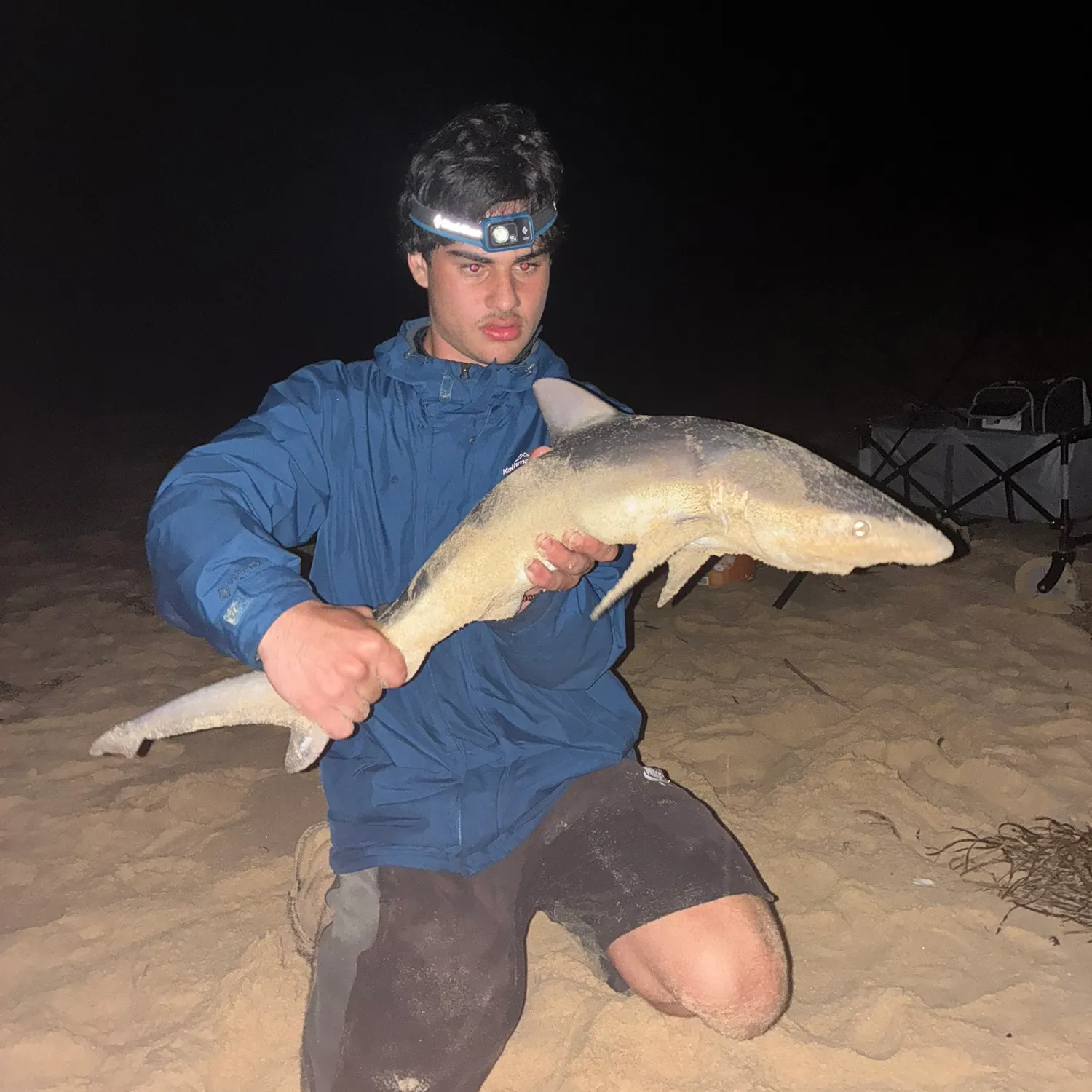 The most recent Dusky shark catches on Fishbrain