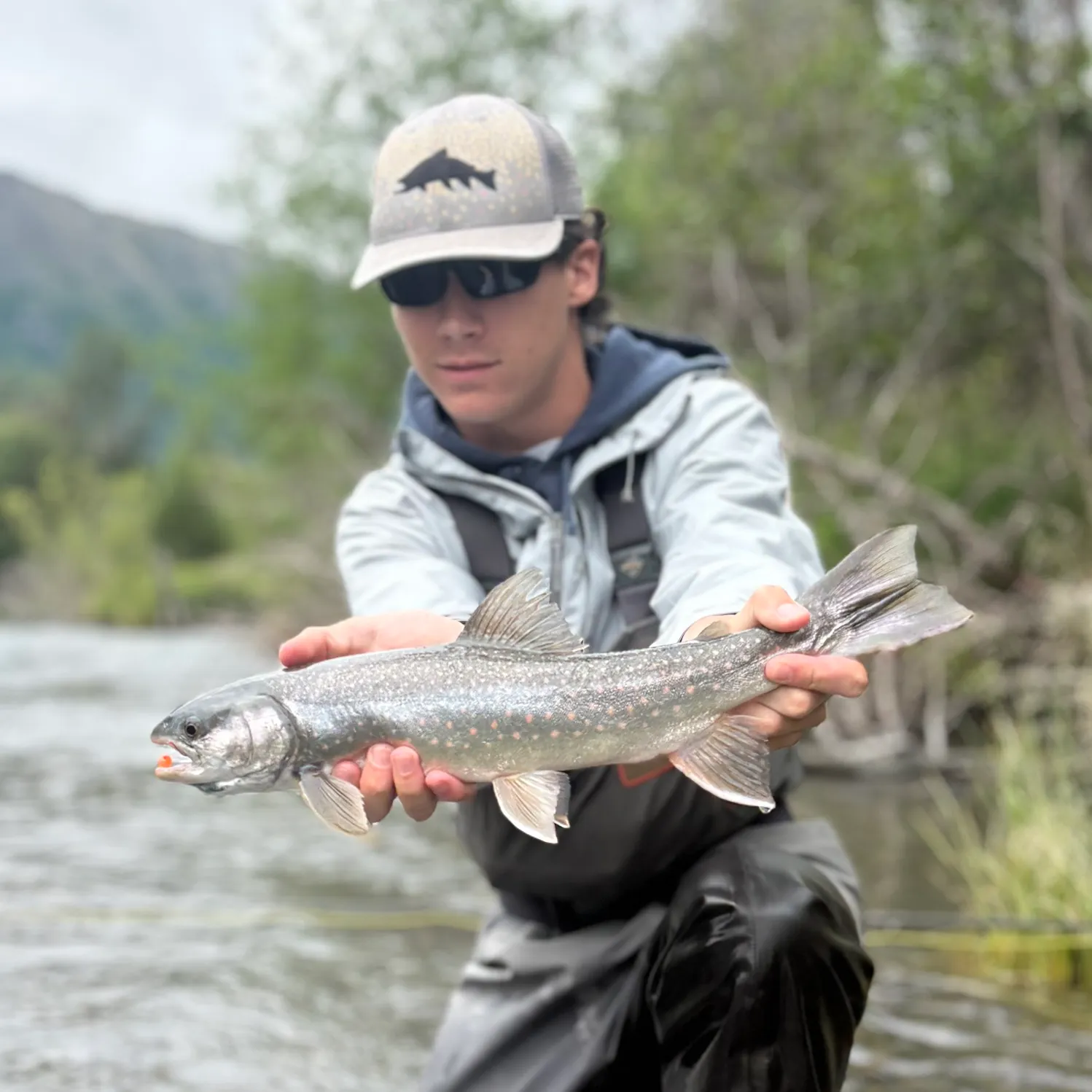 The most recent Dolly varden catches on Fishbrain