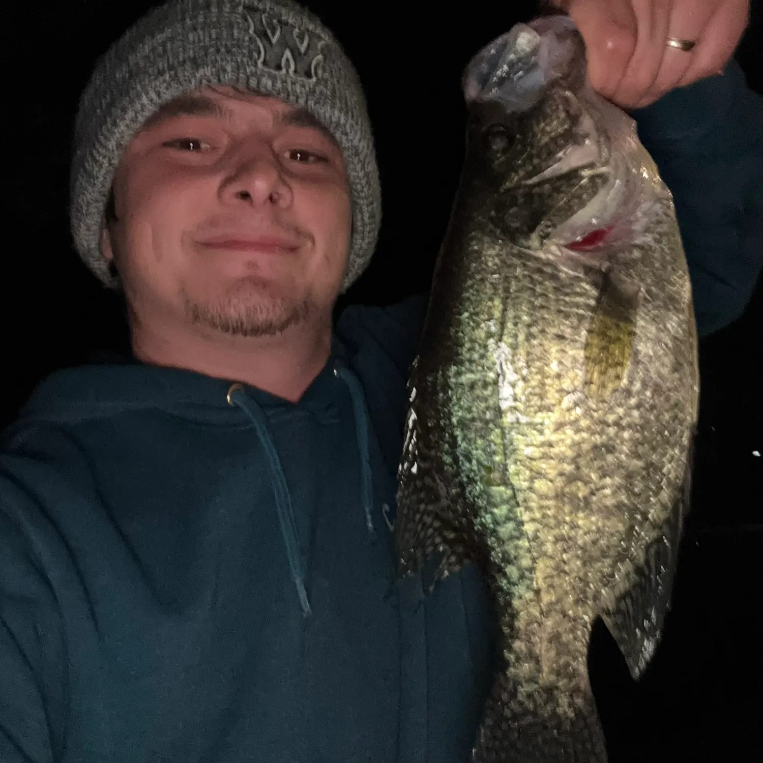 Black crappie caught on Fishbrain