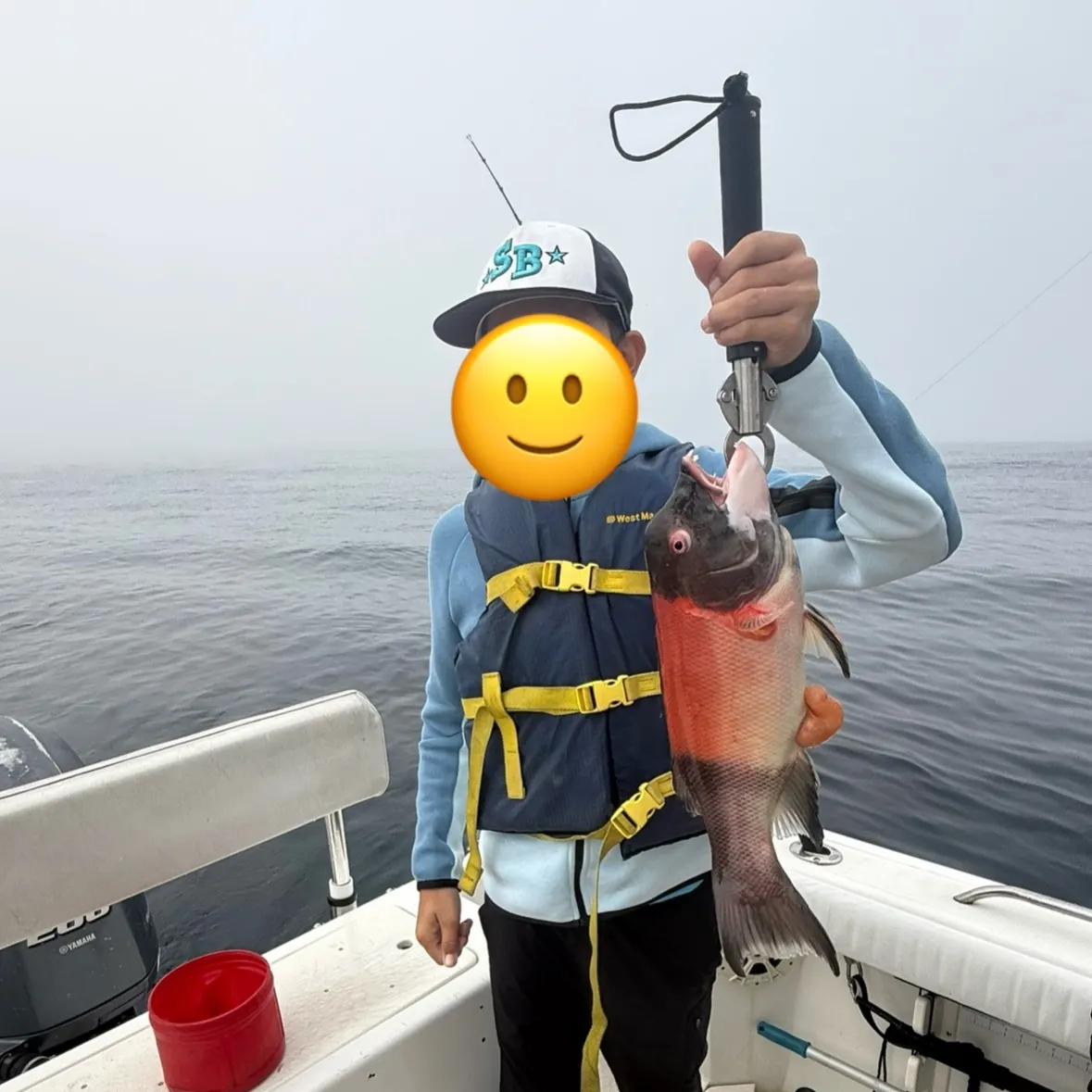 The most recent California sheephead catches on Fishbrain
