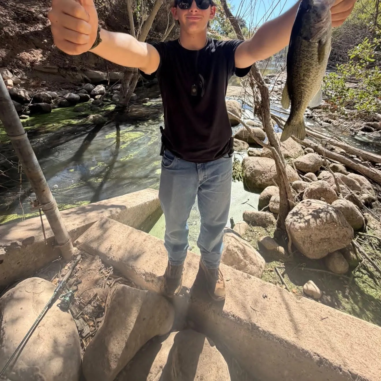 Largemouth bass caught on Fishbrain